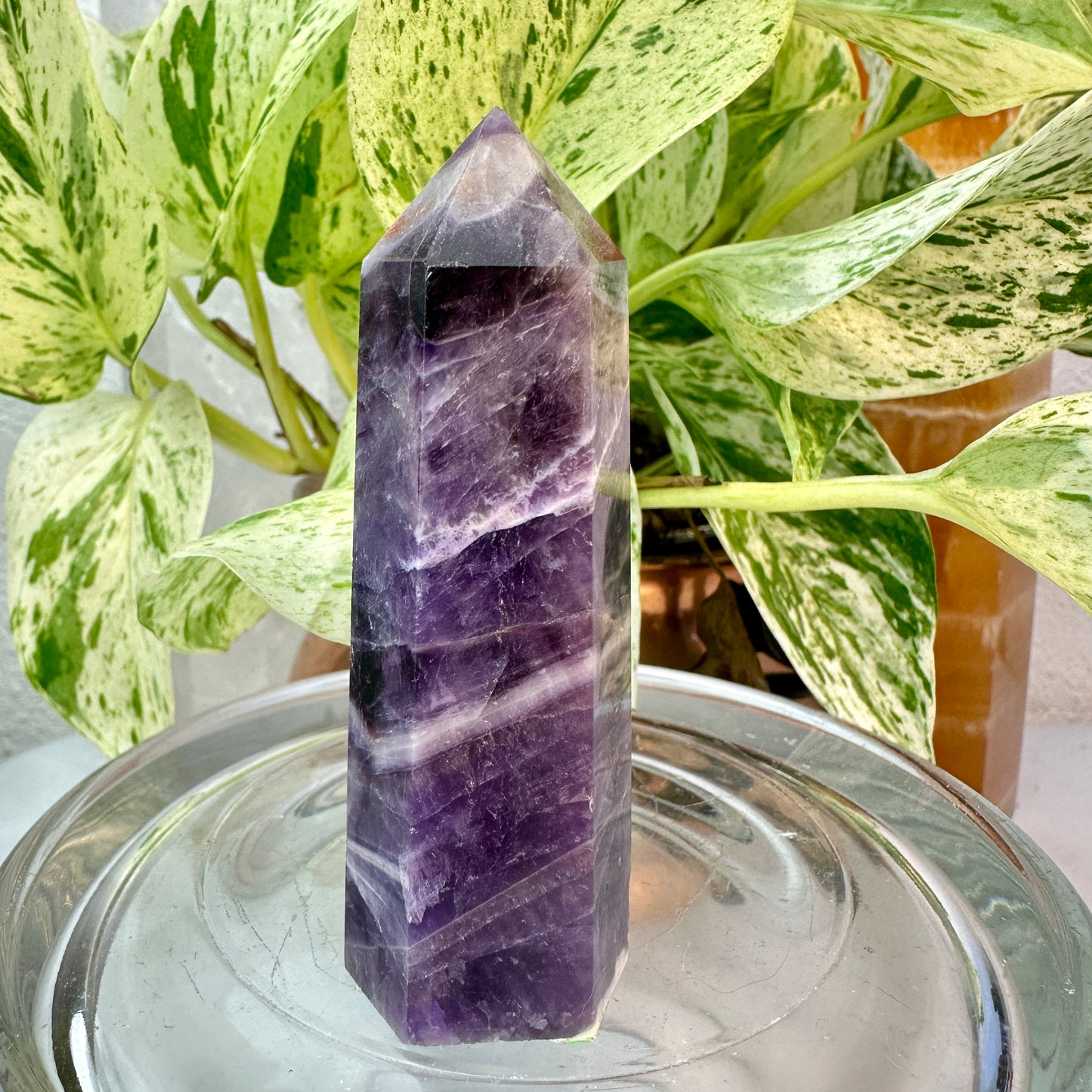 Set of 2 Amethyst Points — 3.1 & 3.9 inch
Spiritual Calm | Protection | Higher Awareness