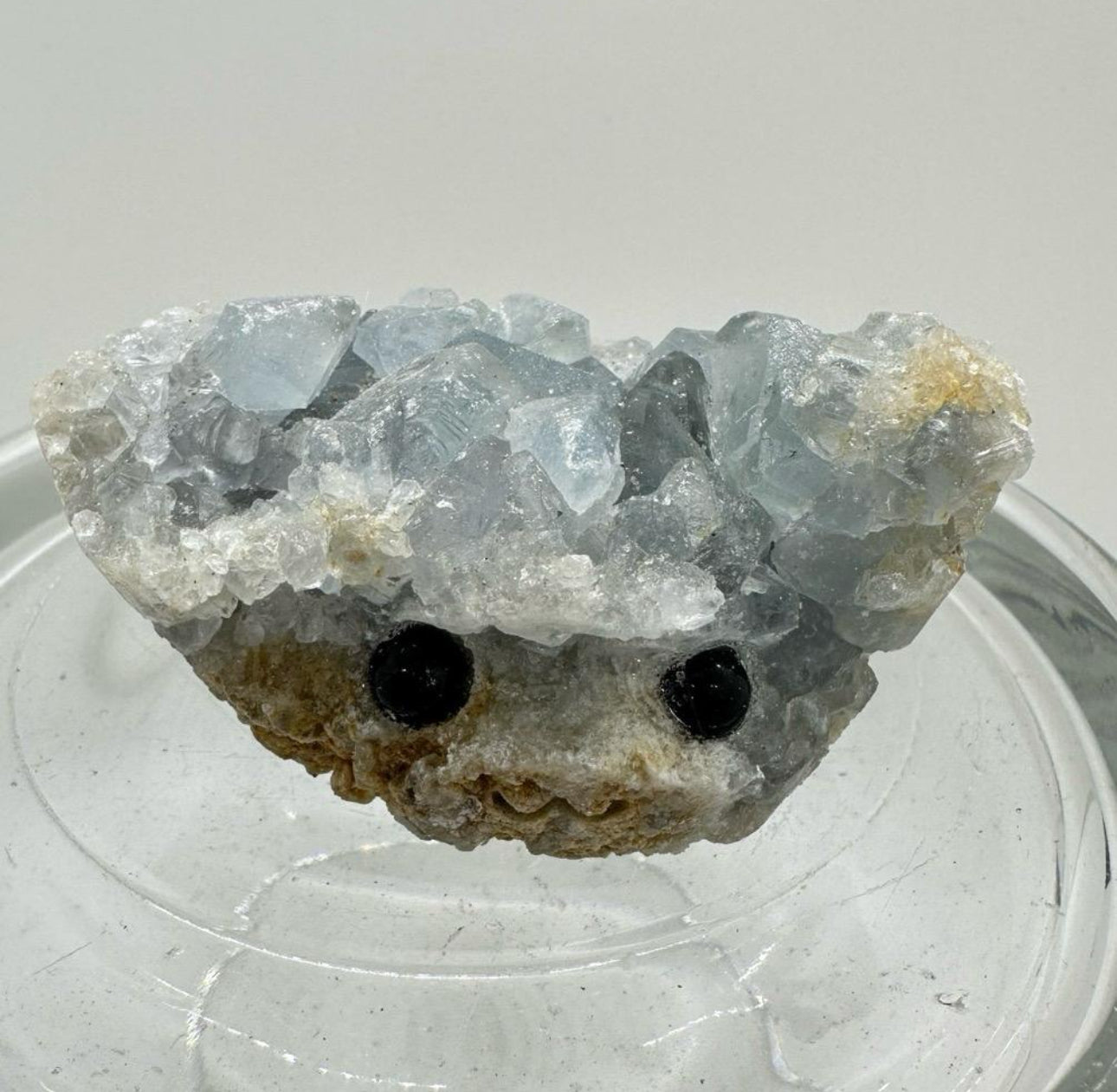 Crystal Critters - Specimen