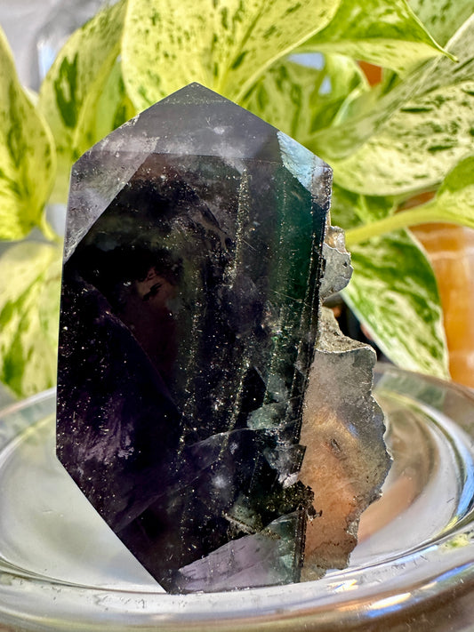 Pyrite in Fluorite Raw Edge Tower — G
2.2 in tall × 1.5 in wide × 0.8 in thick | 3.4 oz
Clarity | Prosperity | Energetic Shielding - Katie's Mystic Crystals