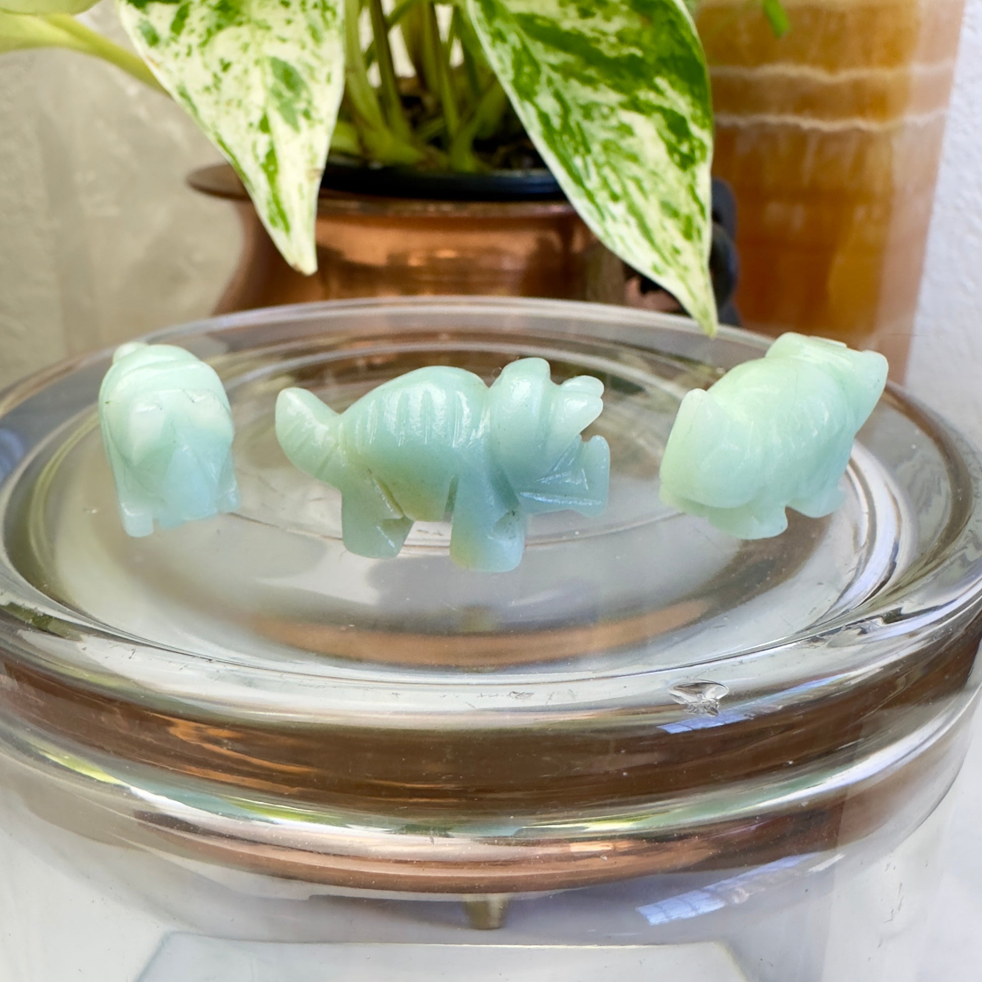 Tiny Caribbean Calite Triceratops - Katie's Mystic Crystals