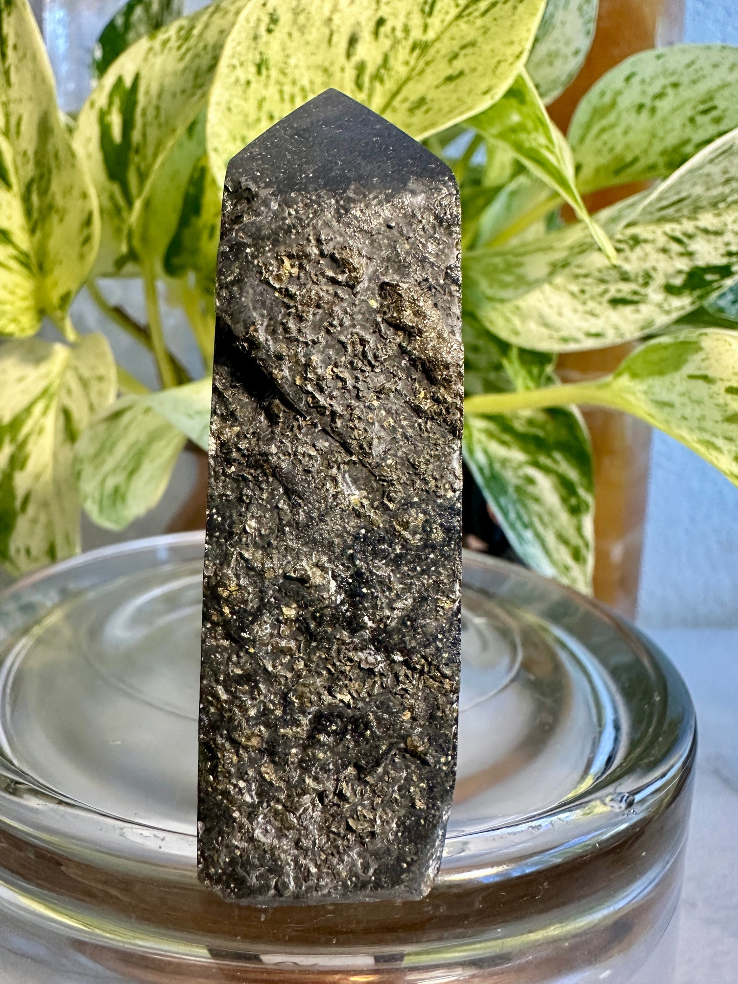 Pyrite in Fluorite Raw Edge Tower — B
2.7 in tall × 1.3 in wide × 1 in thick | 5.4 oz
Abundance | Clarity | Empowered Focus - Katie's Mystic Crystals