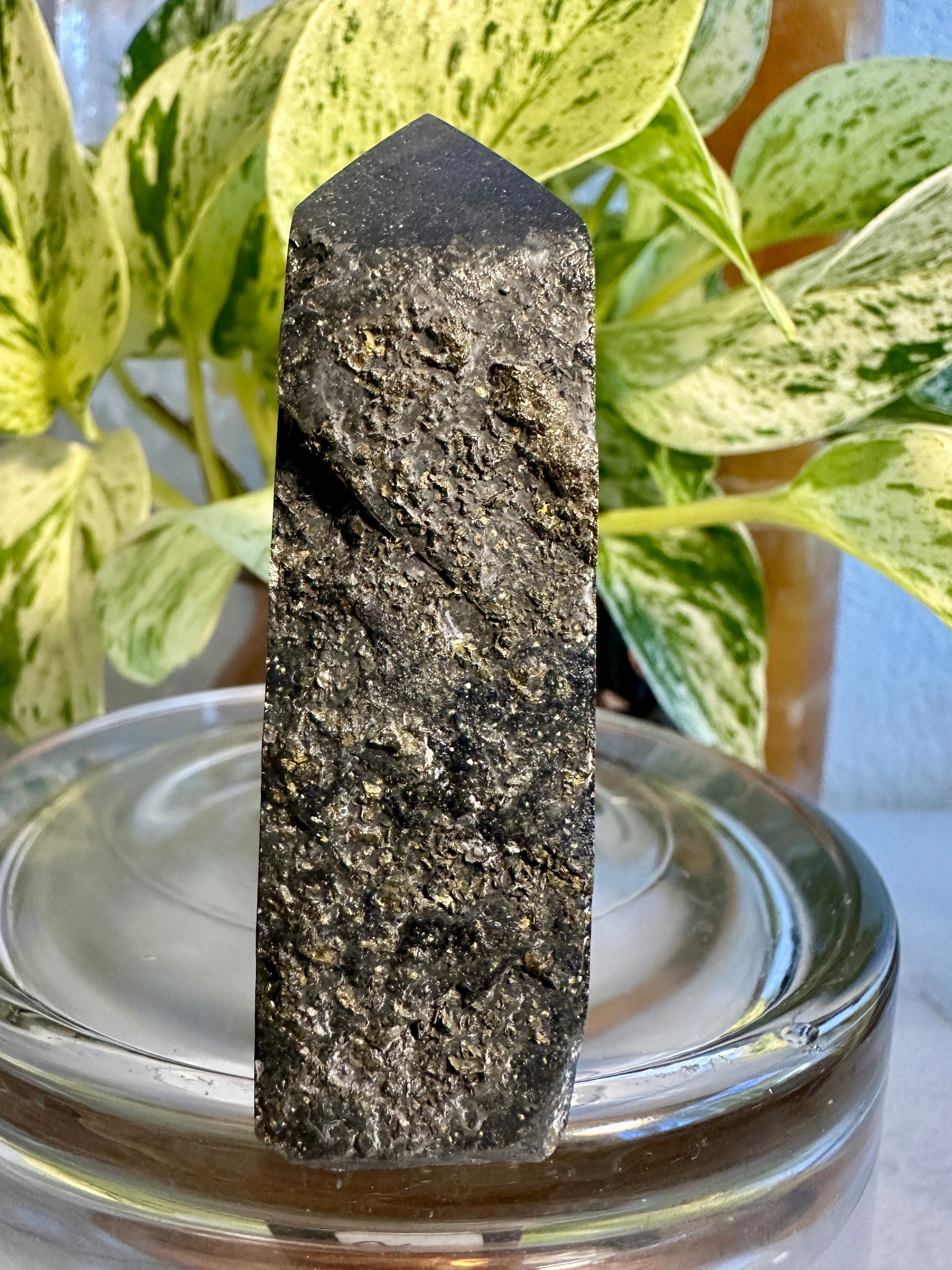 Pyrite in Fluorite Raw Edge Tower — B
2.7 in tall × 1.3 in wide × 1 in thick | 5.4 oz
Abundance | Clarity | Empowered Focus - Katie's Mystic Crystals