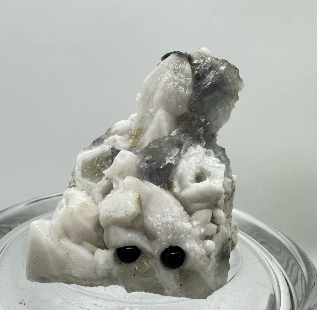 Crystal Critters - Specimen