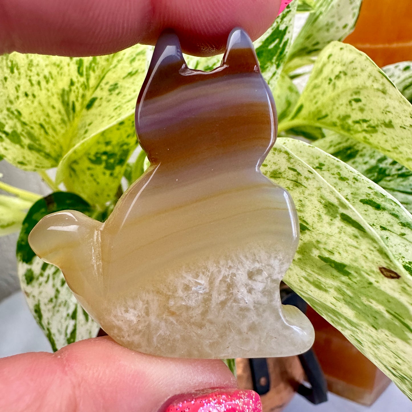 Agate Slab Cat