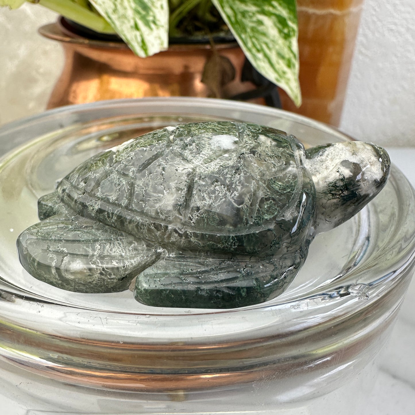 Moss Agate Sea Turtle
Grounding | Growth | Gentle Strength