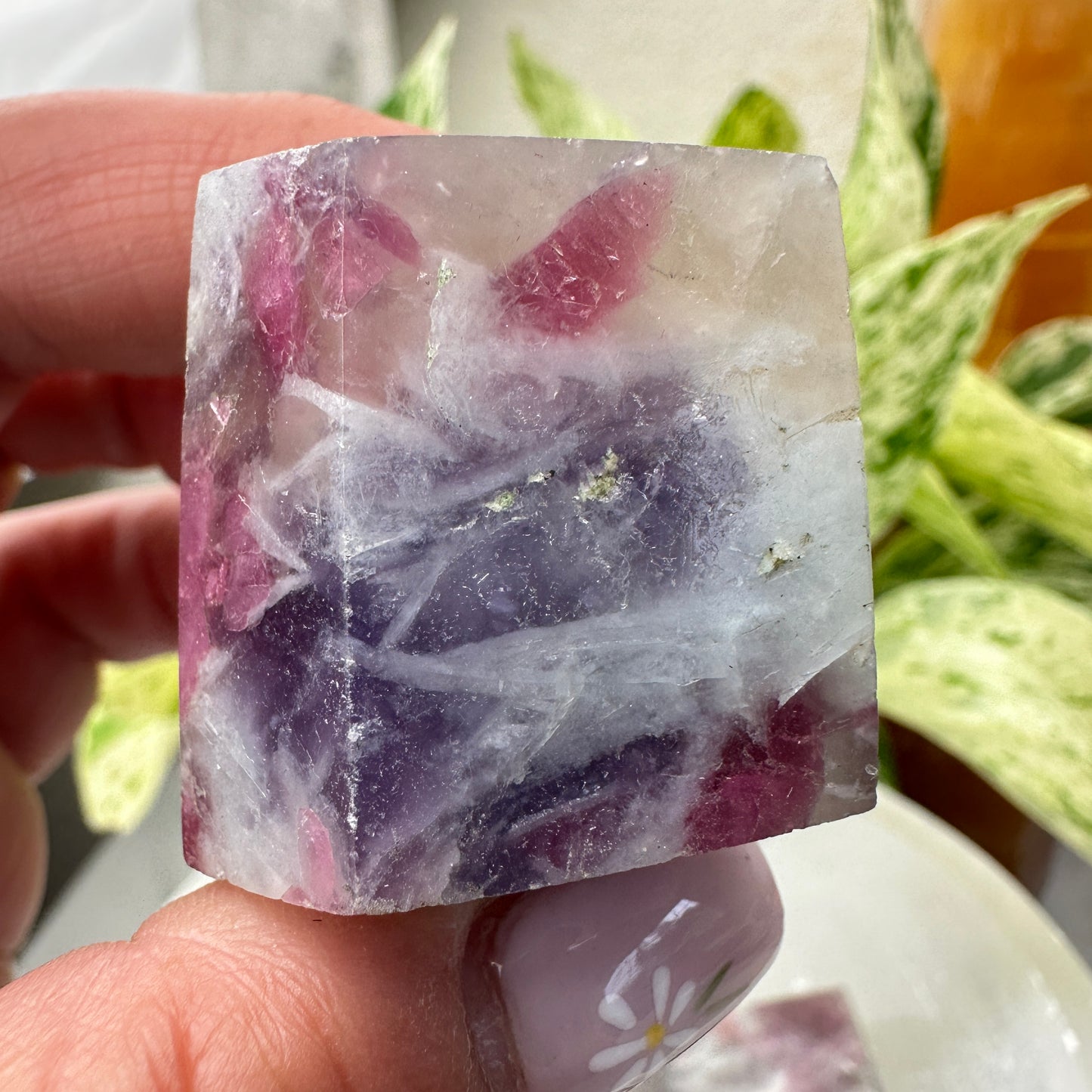 Unicorn Stone Gushers (Freeforms)
Emotional Healing | Soothing | Inner Magic