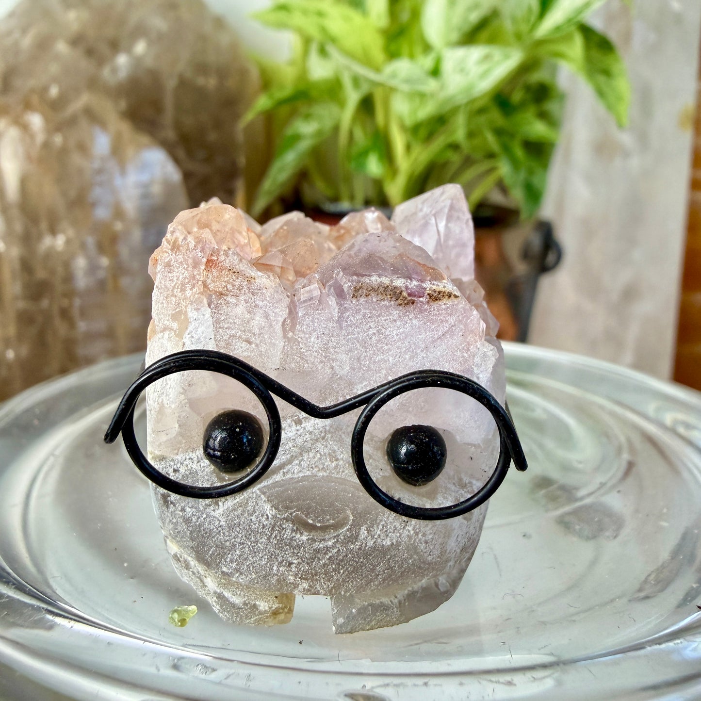 Crystal Critters - Harry