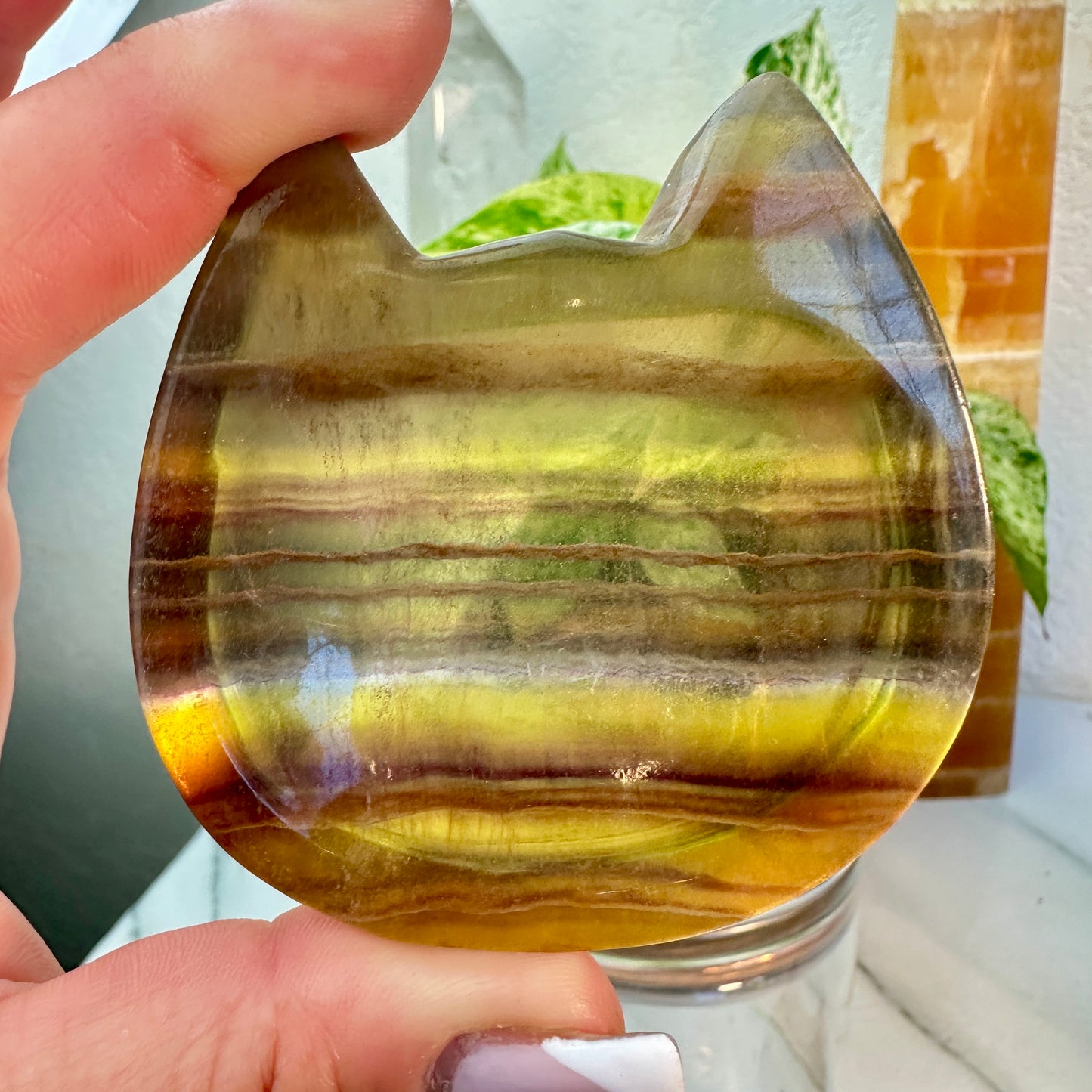 Yellow Banded Fluorite Cat Head Dishes — Small | Intuitive Pick
Confidence | Clarity | Solar Joy