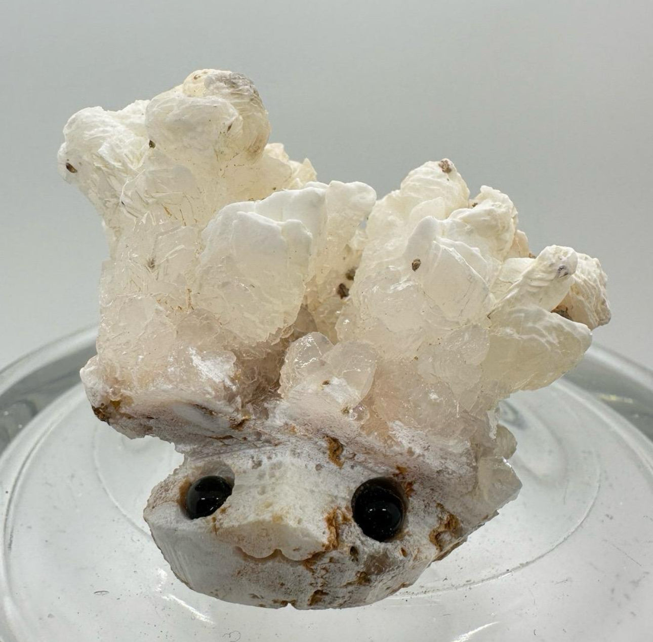 Crystal Critters - Specimen