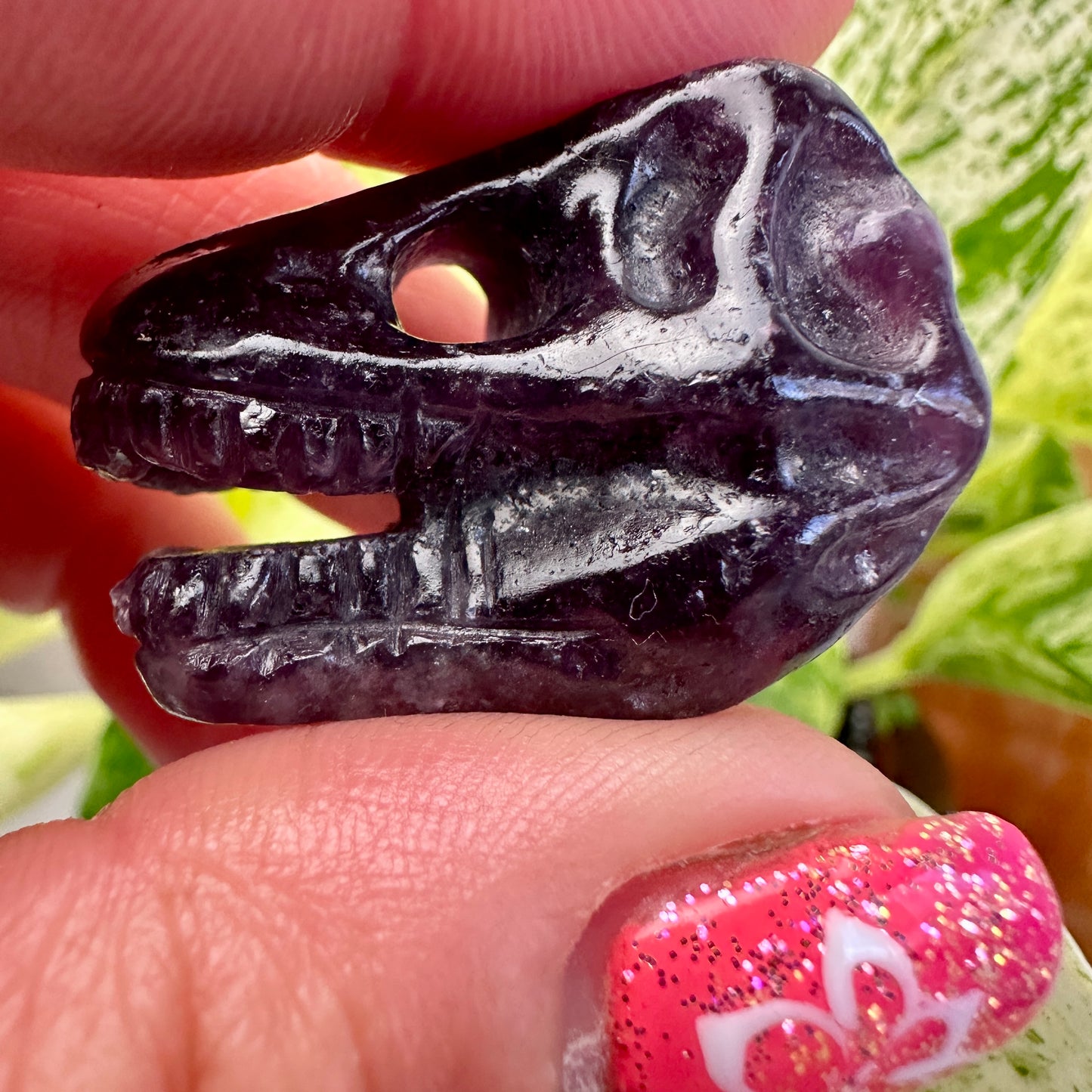 Crystal T-Rex Skulls