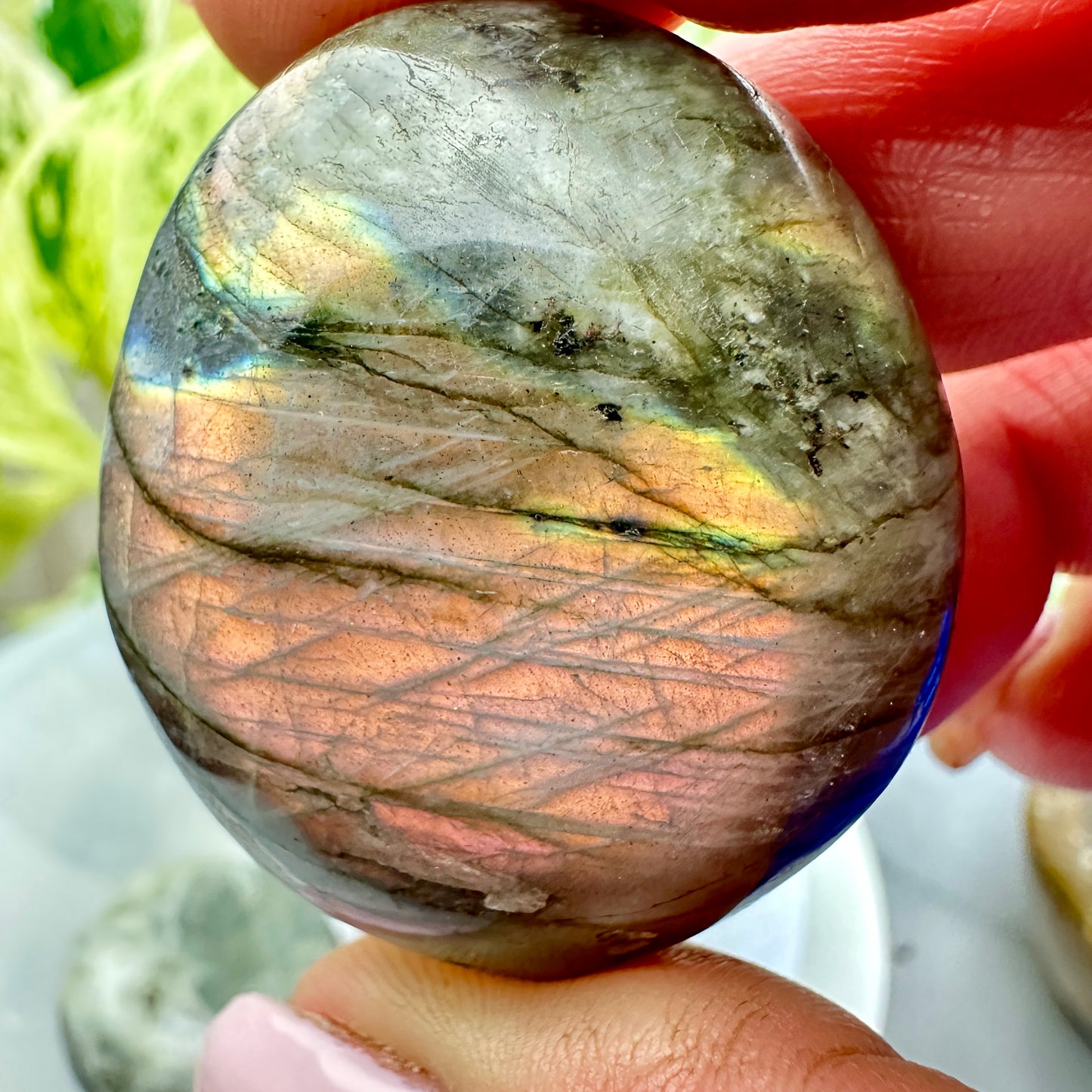 Labradorite Palm Stones - Katie's Mystic Crystals