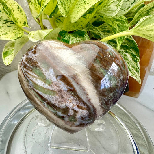 Petrified Wood Heart 6.9oz