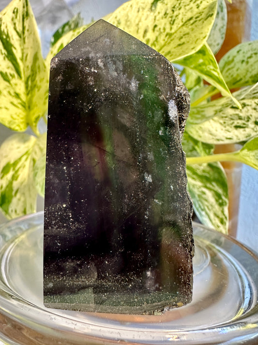 Pyrite in Fluorite Raw Edge Tower — B
2.7 in tall × 1.3 in wide × 1 in thick | 5.4 oz
Abundance | Clarity | Empowered Focus - Katie's Mystic Crystals