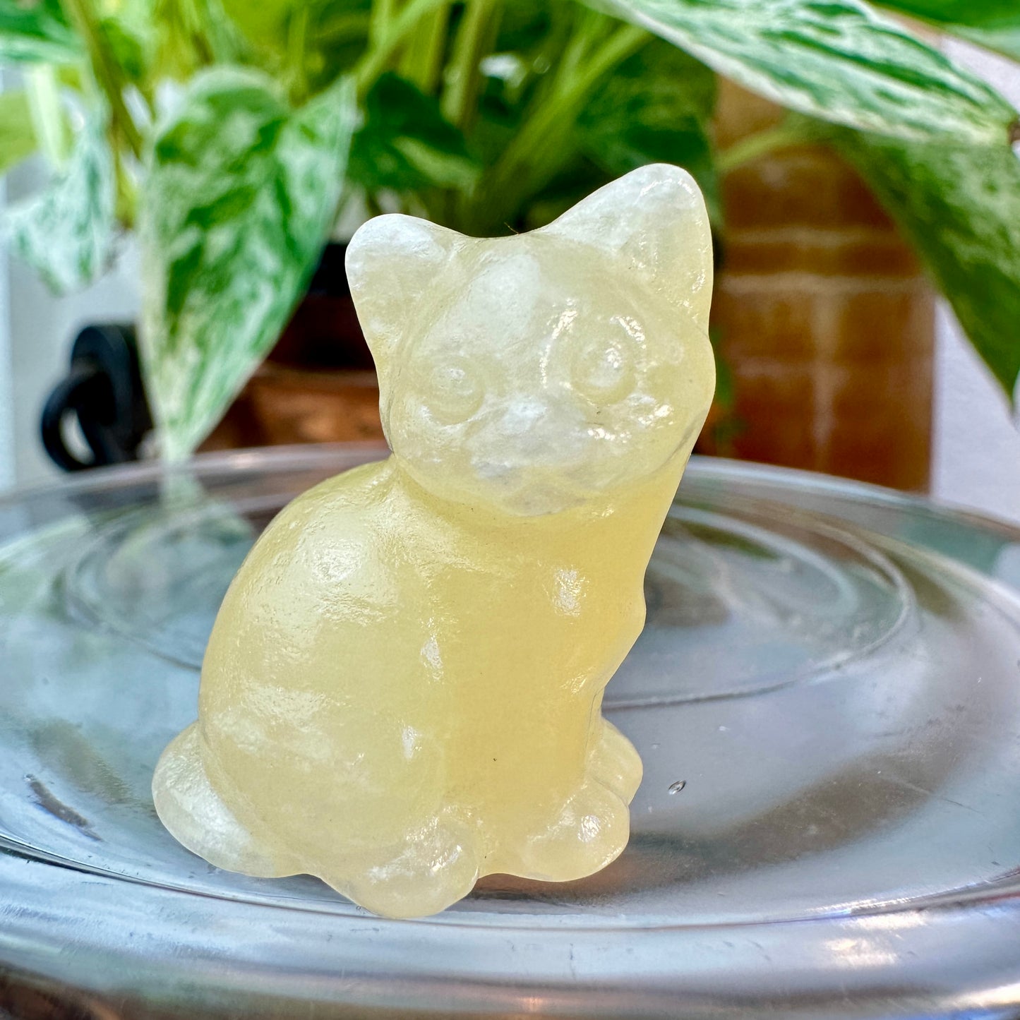 Mini Crystal Cats — 0.25 to 2 inches Whimsy | Protection | Energy Companions