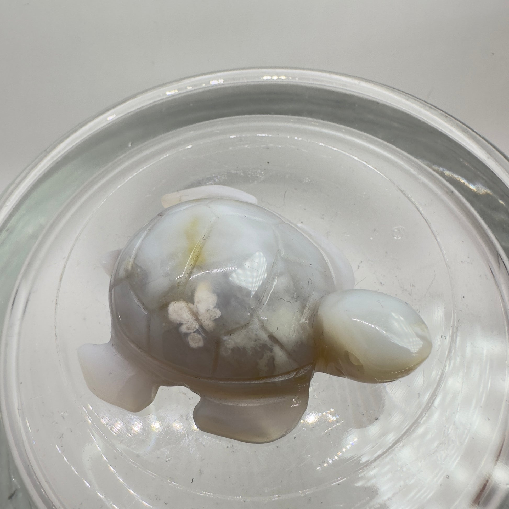 Ocean Carvings - Katie's Mystic Crystals