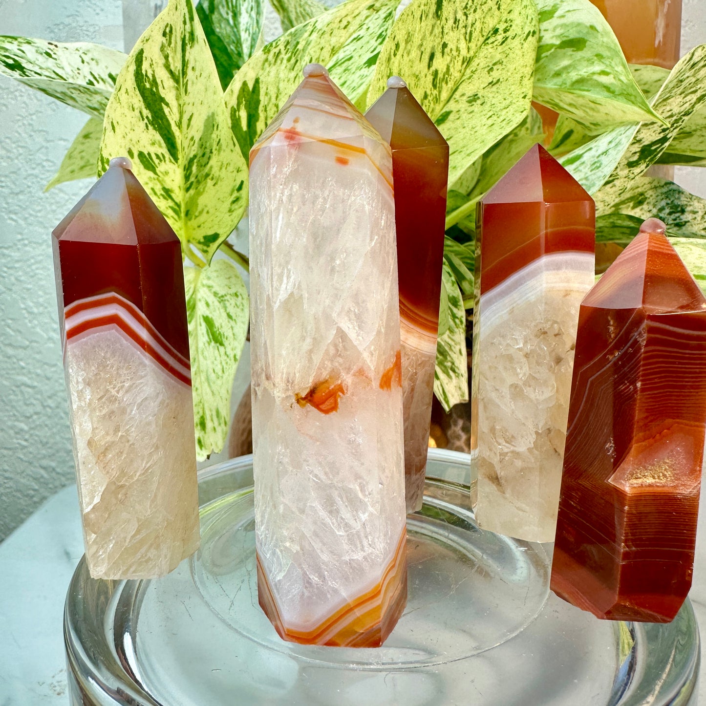 Carnelian Agate Points
Vitality | Creativity | Confidence