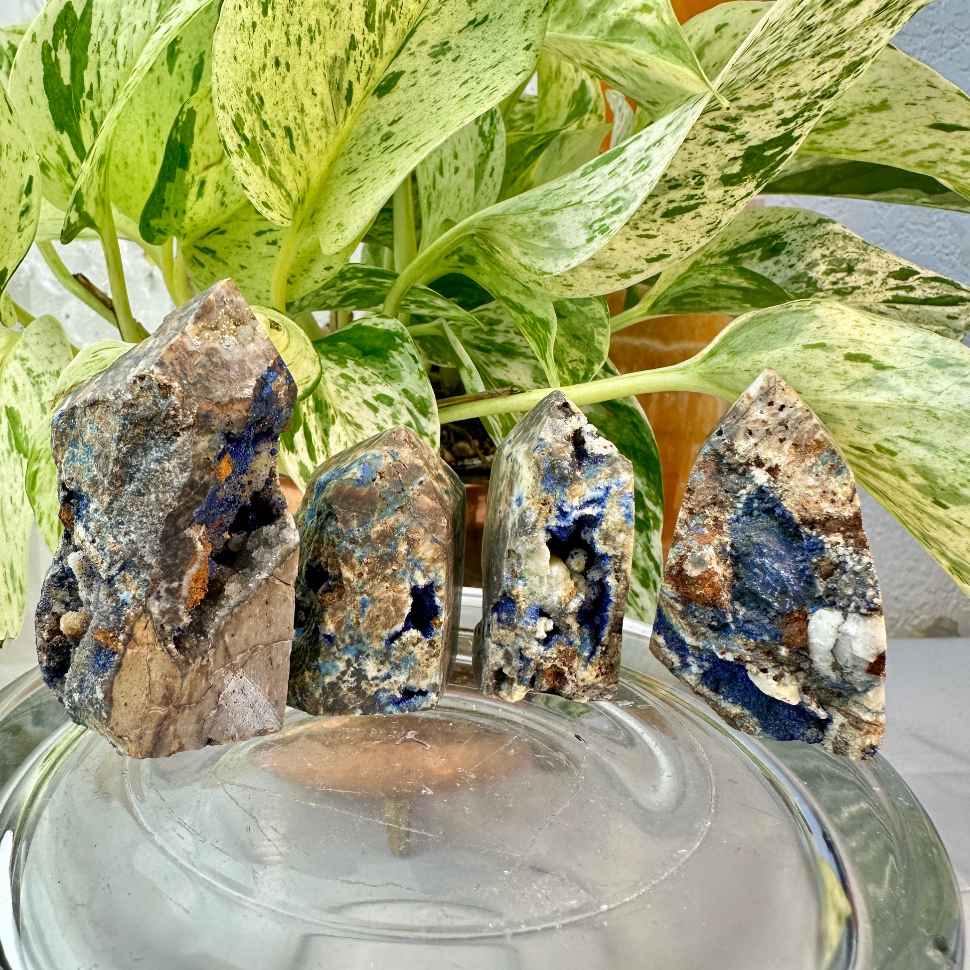 Raw Azurite in Matrix Points — You Pick
Psychic Insight | Intuition | Higher Wisdom - Katie's Mystic Crystals