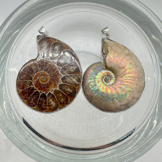 Ammonite Pair Pendants