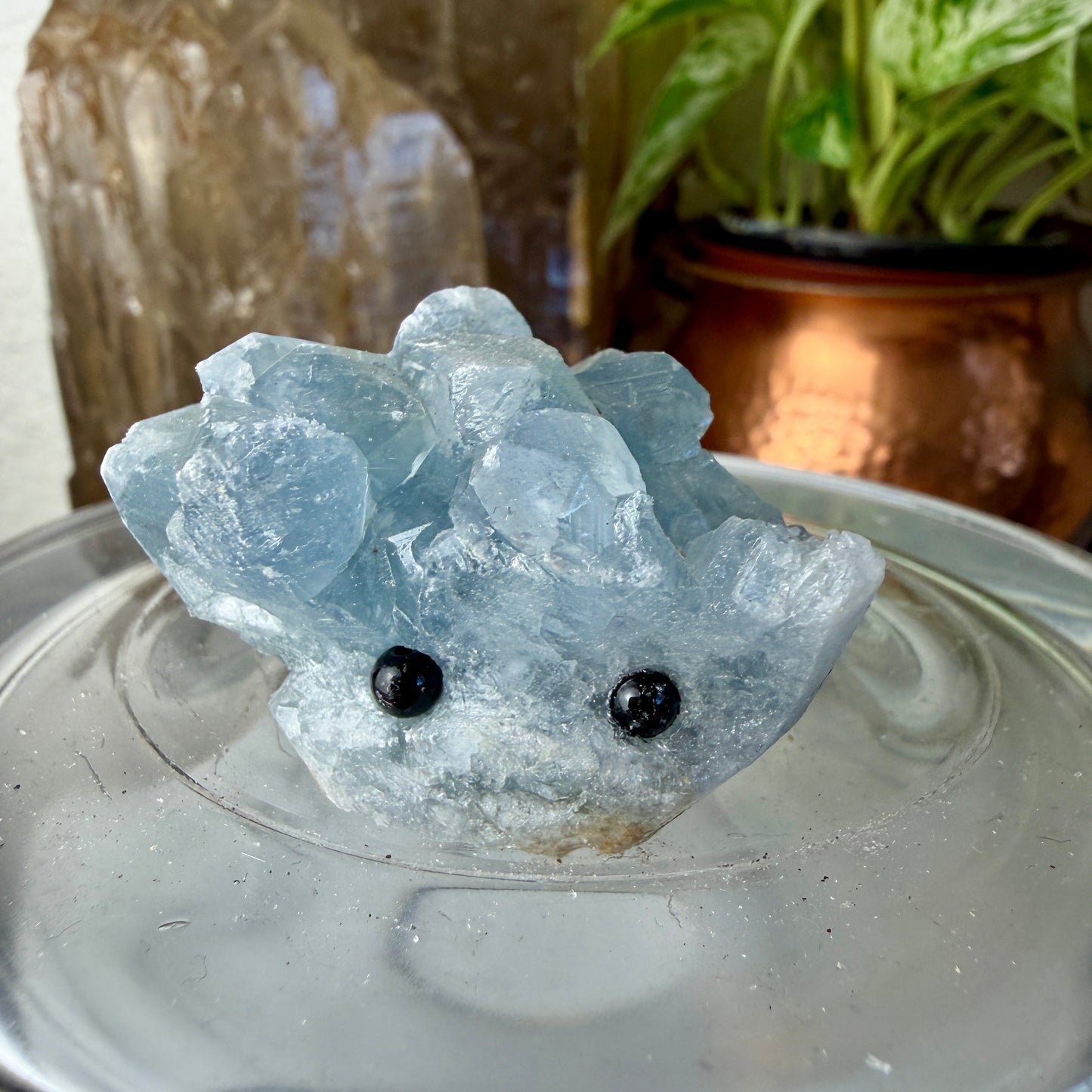 Crystal Critters - Specimen