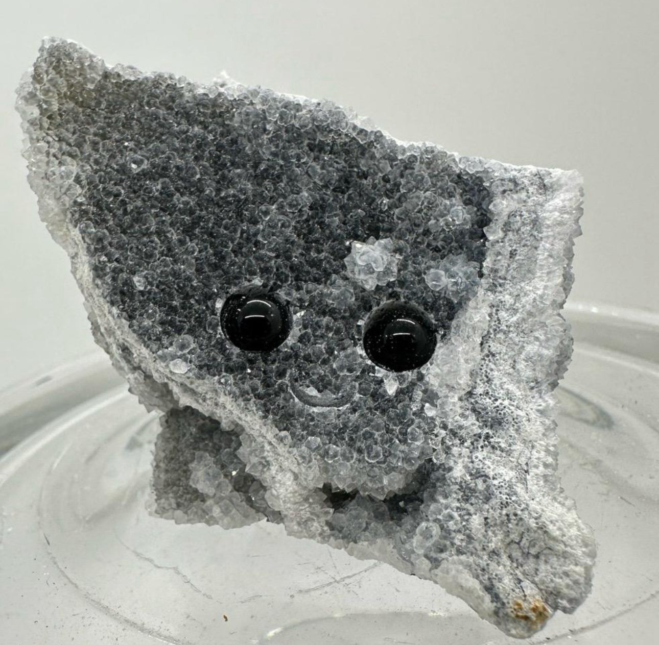 Crystal Critters - Specimen