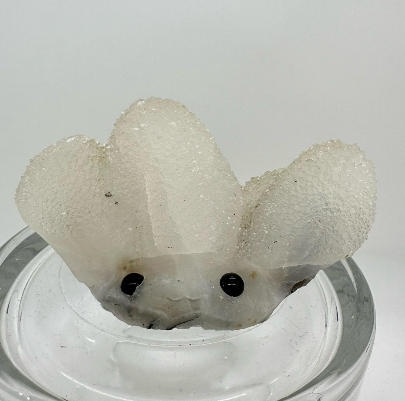 Crystal Critters - Specimen