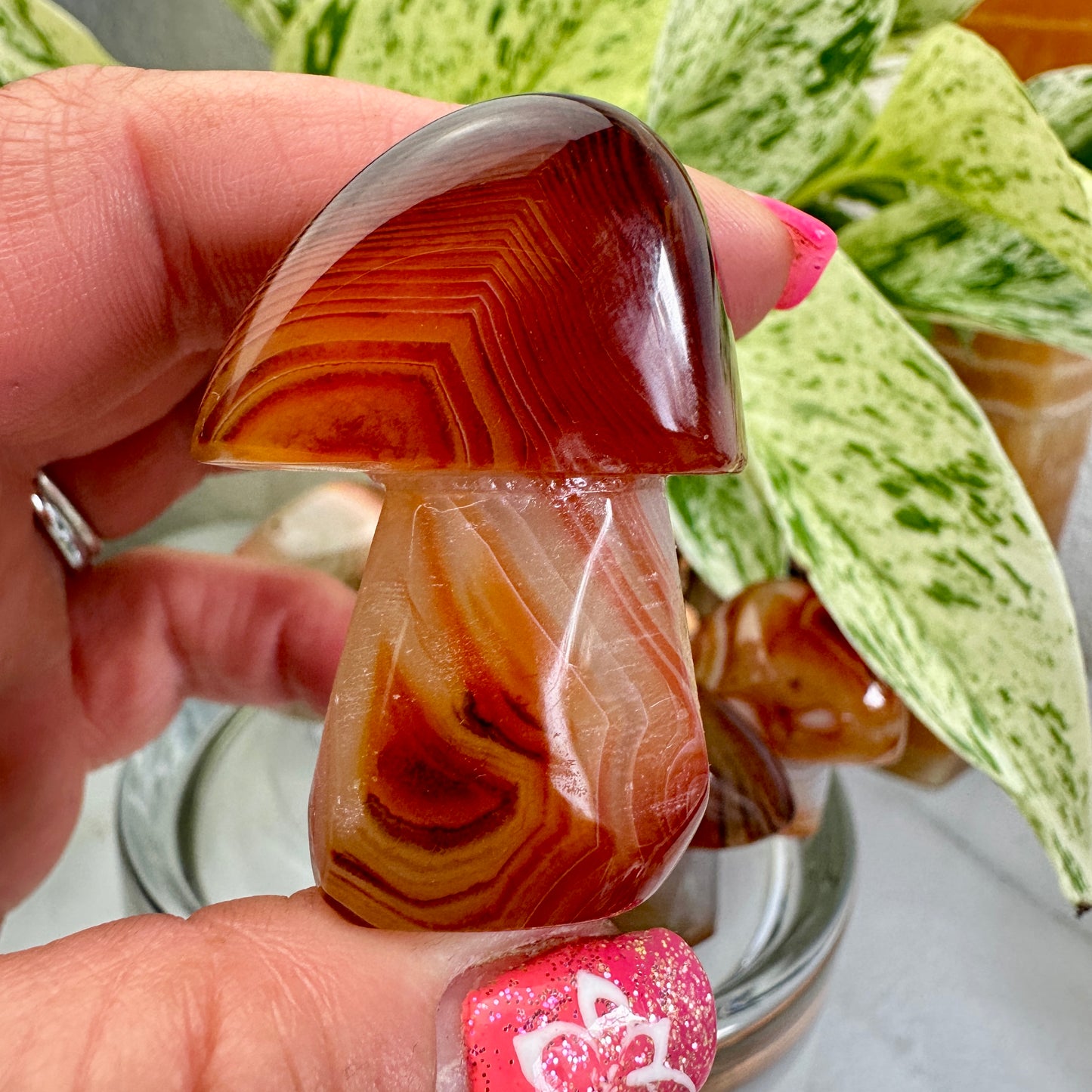 Sardonyx Mushrooms - Katie's Mystic Crystals