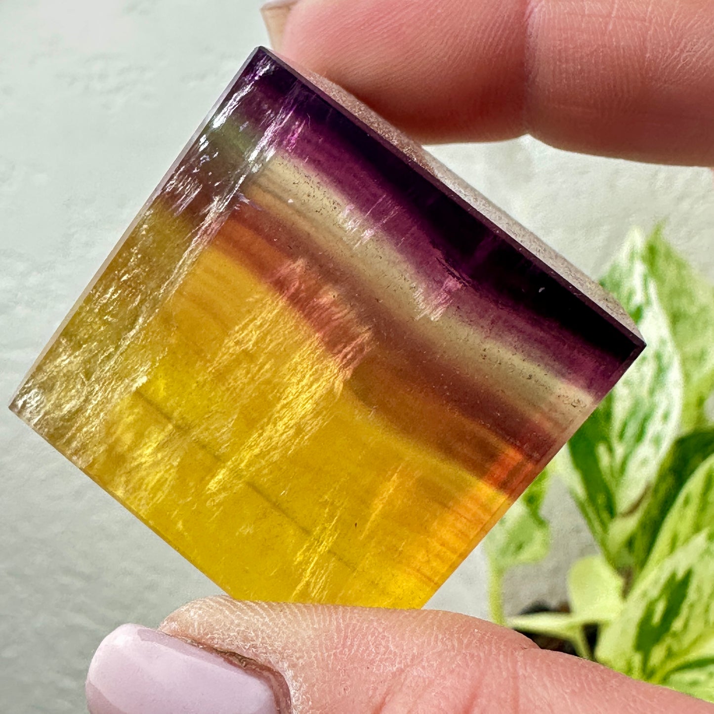 Yellow & Purple Banded Fluorite Cubes with Sparkling Mica — 1.2–1.4 inch
Clarity | Confidence | Spiritual Focus