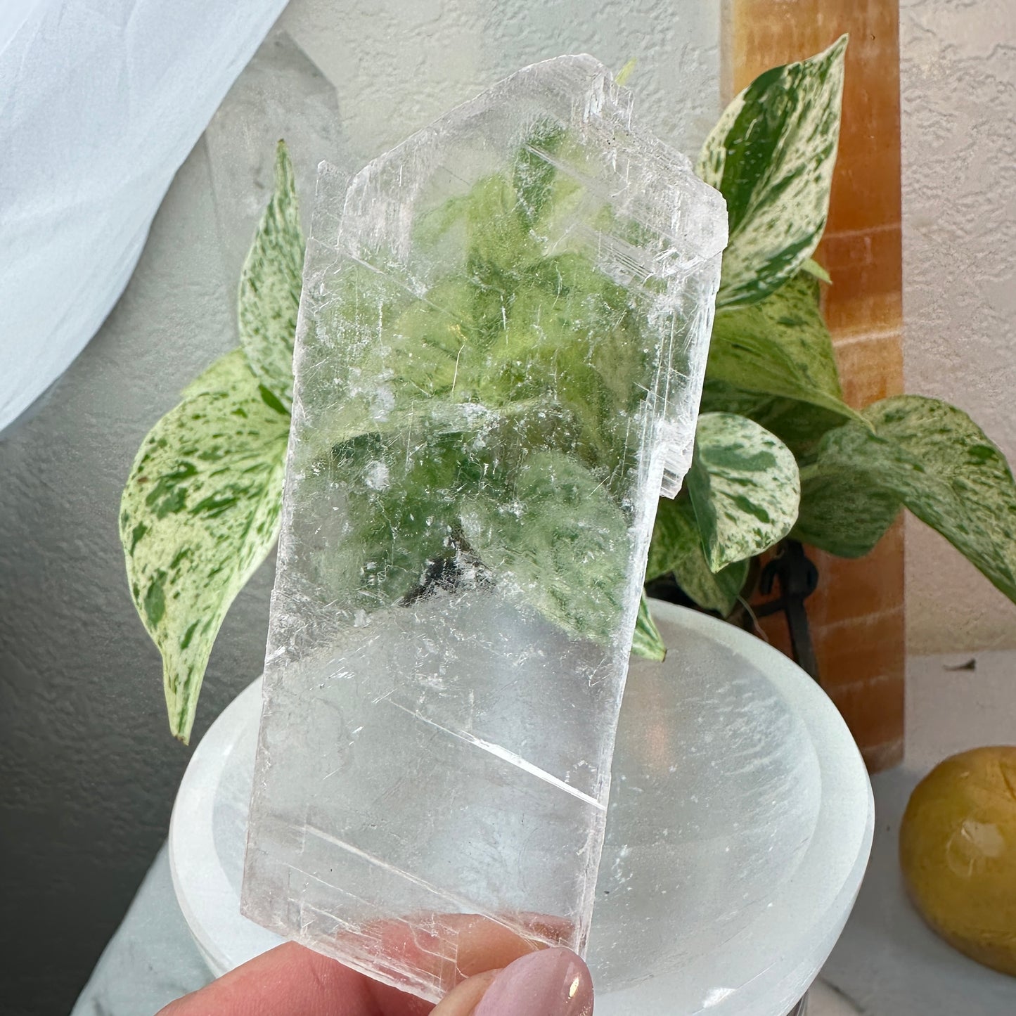 Raw Selenite Slabs — 2–5 oz Each
Cleansing | Light | Energy Amplifier