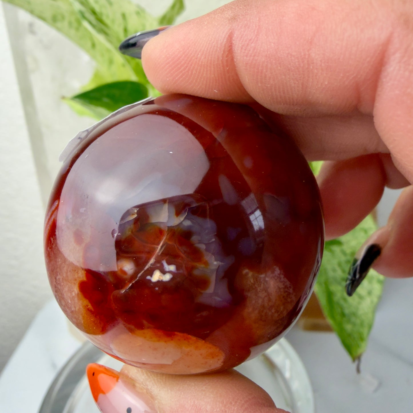 Carnelian Agate Palm Stones – Grounding Energy & Creative Fire (1.8–2”)