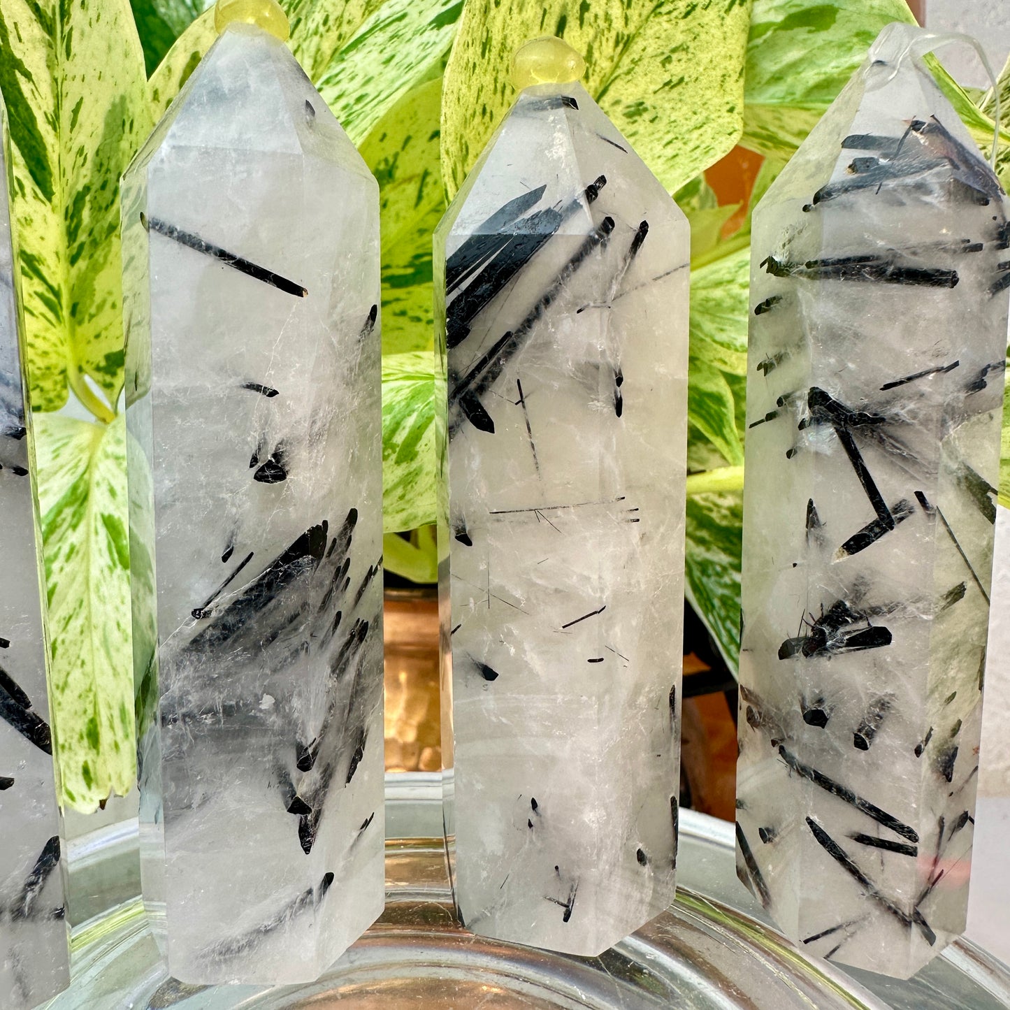 Black Tourmaline in Quartz Points — 3 inch
Protection | Clarity | Energy Alignment - Katie's Mystic Crystals