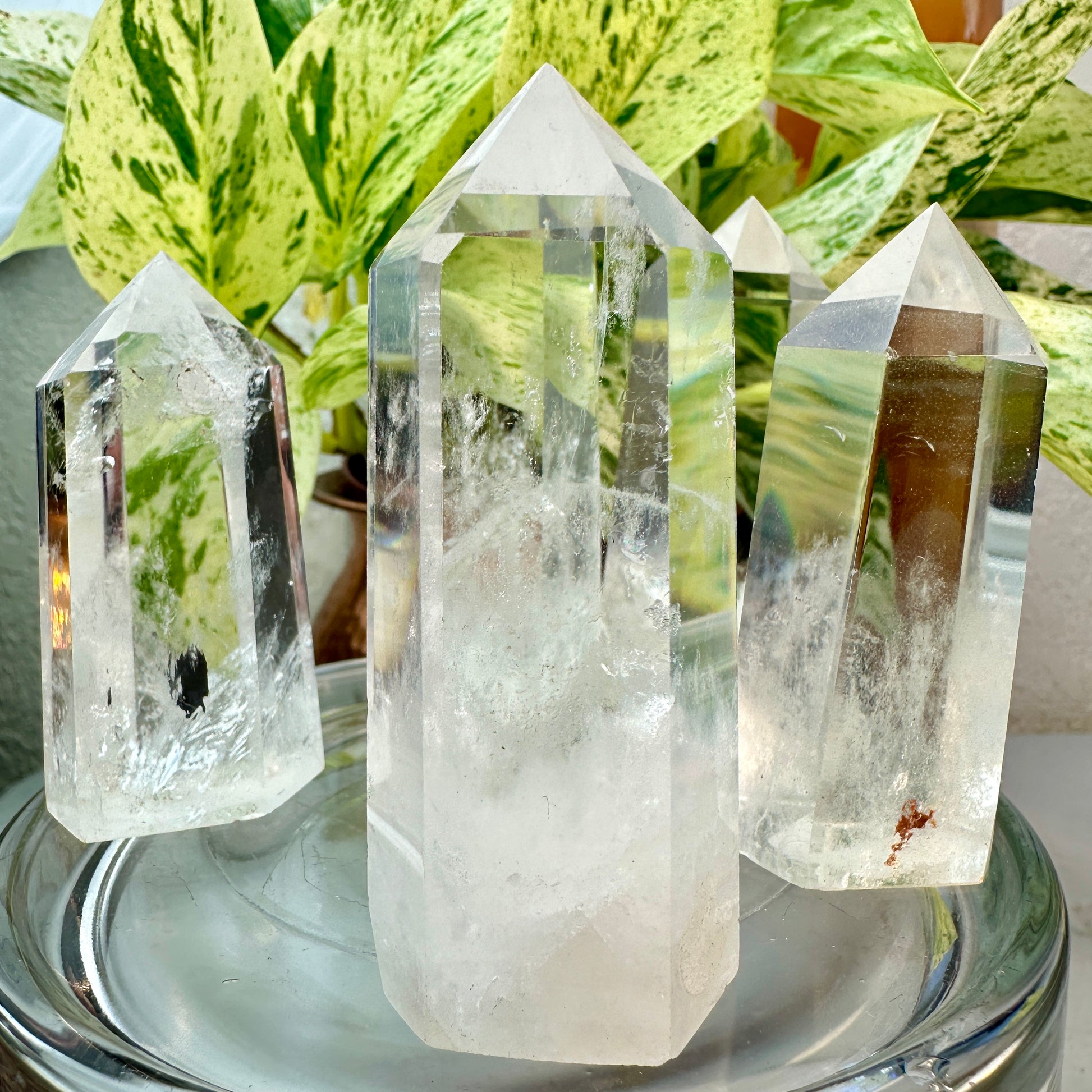 Clear Quartz Points — 2.6 to 3 inch (High Quality)
Amplification | Clarity | Master Healer - Katie's Mystic Crystals