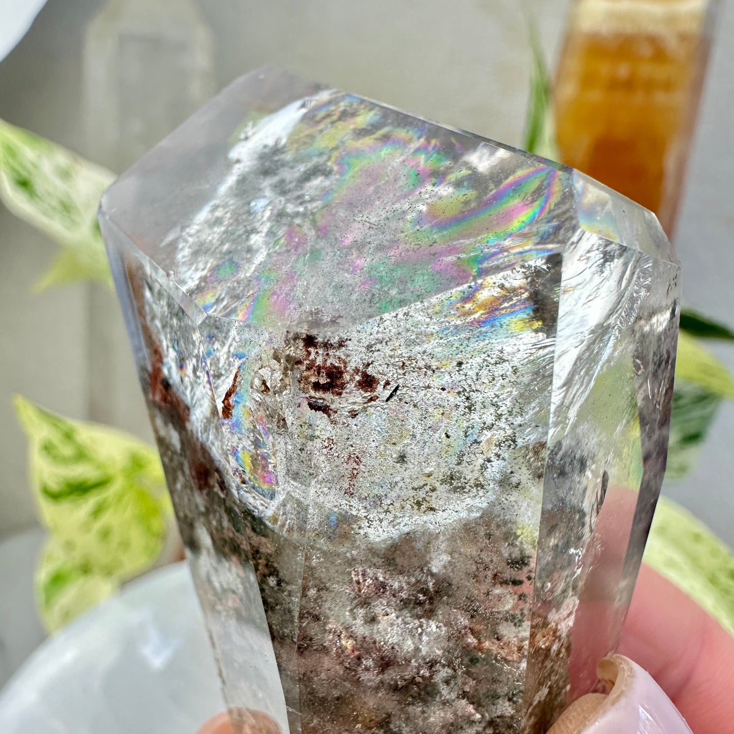 Garden Quartz Freeform — 2.8 inches
Past-Life Recall | Earth Wisdom | Visionary Growth