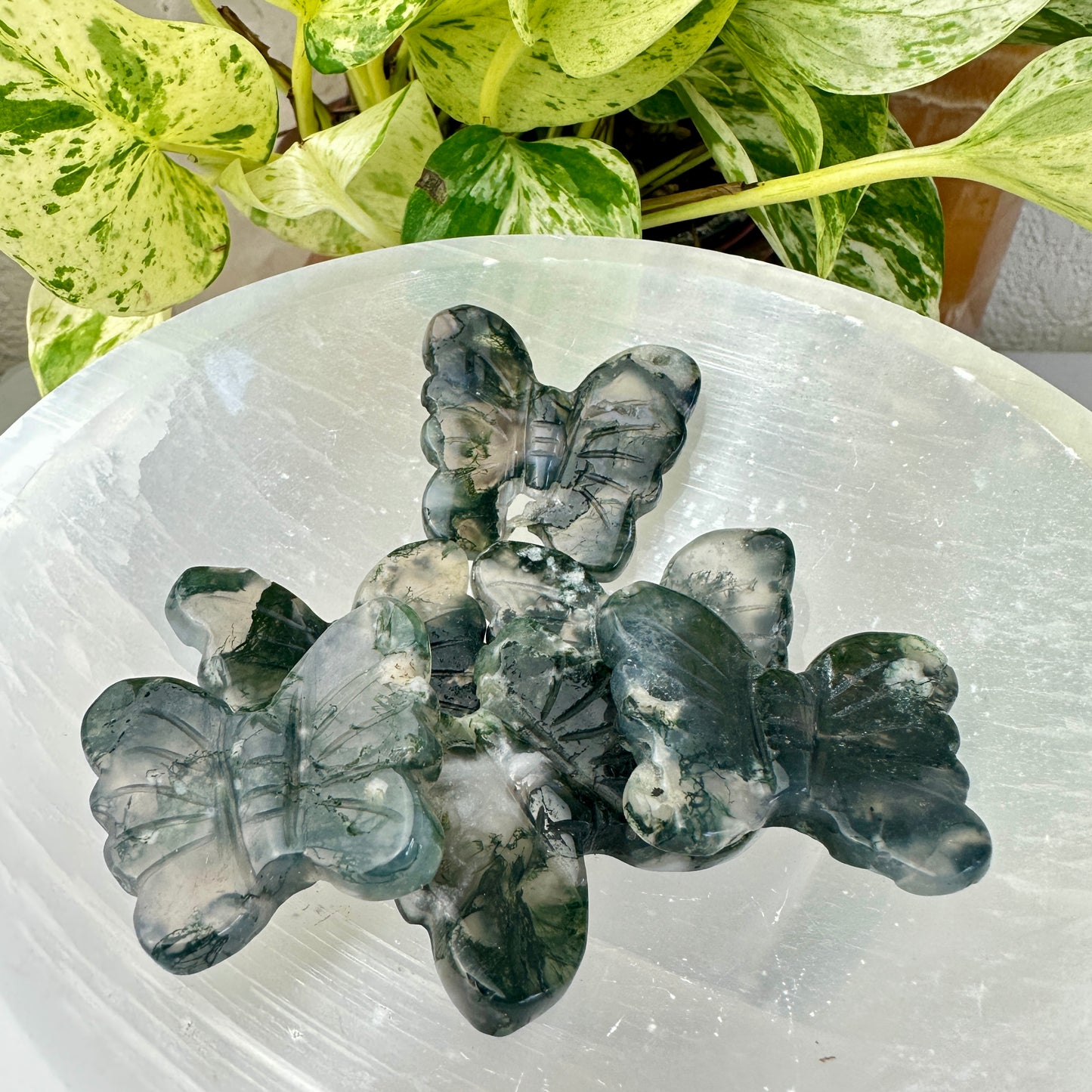 Moss Agate Butterflies — 1.3 inch
Growth | Nature Energy | Gentle Transformation