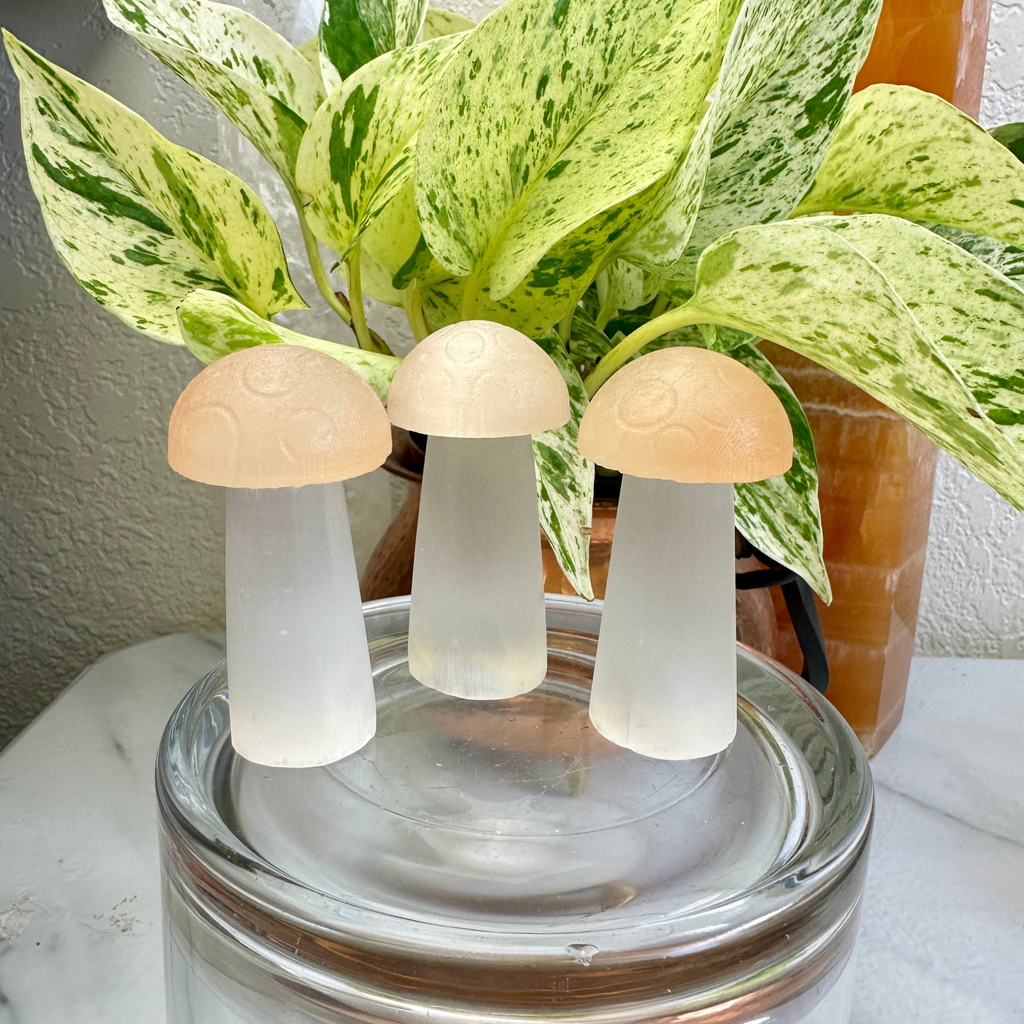 Selenite Mushrooms 3.5in