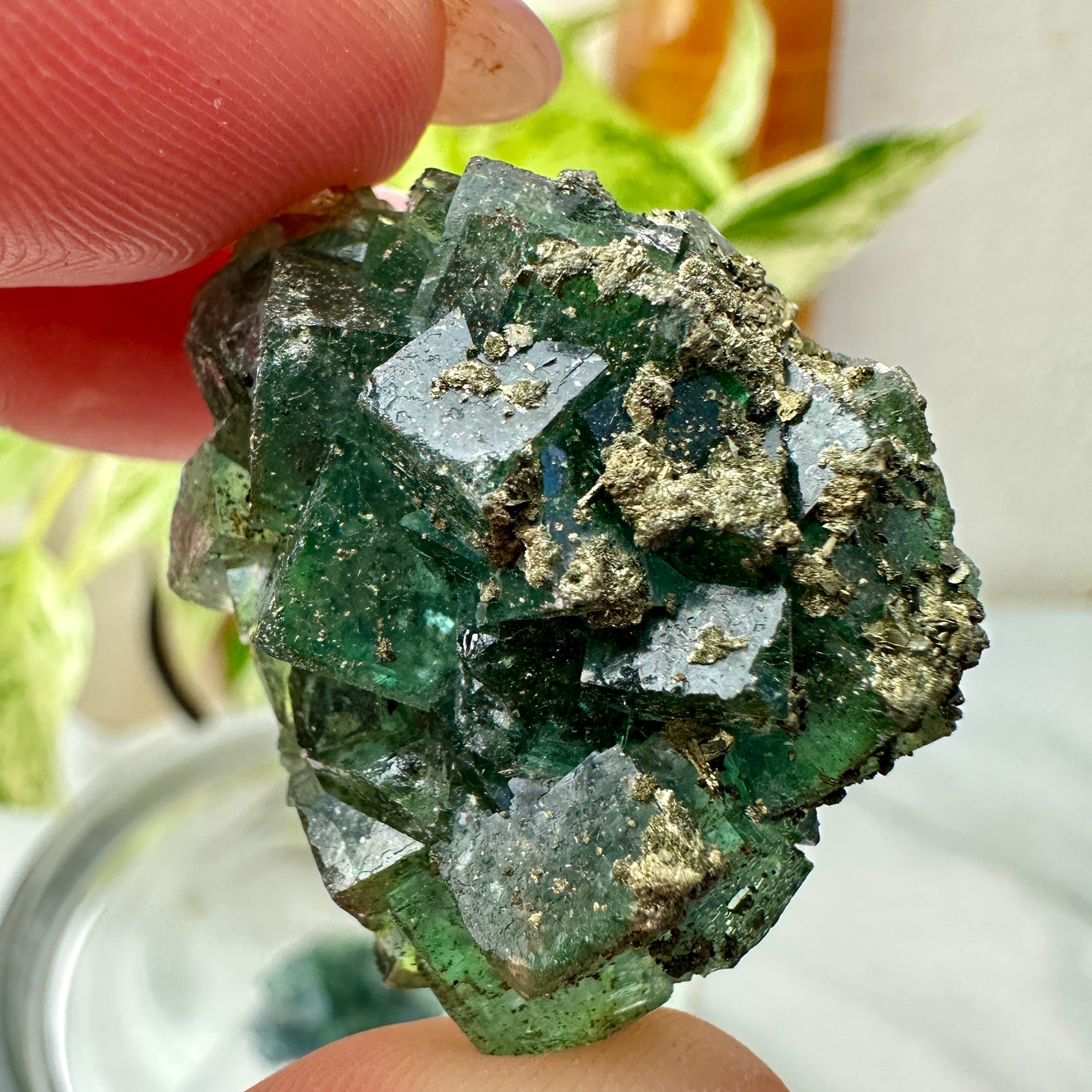 Cubic Blue-Green Fluorite with Natural Pyrite Specimens — Energetic Alchemy in Crystal Form