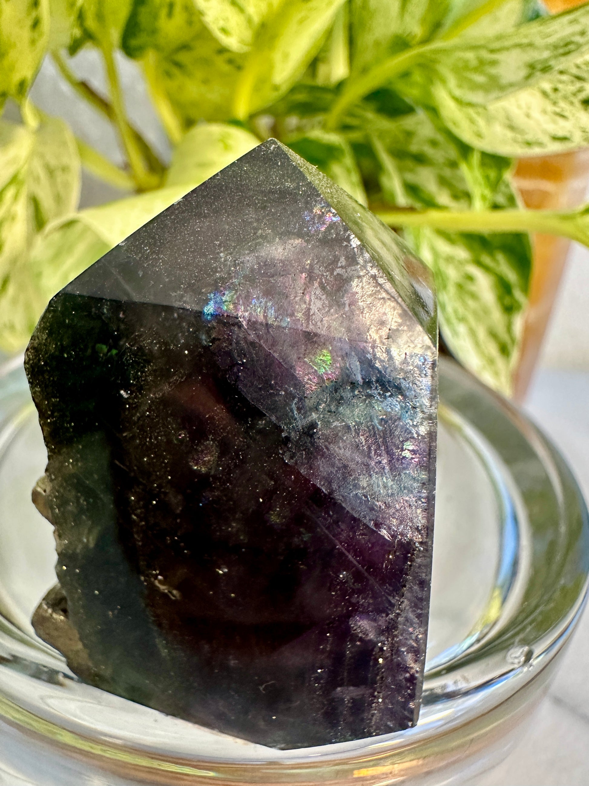 Pyrite in Fluorite Raw Edge Tower — G
2.2 in tall × 1.5 in wide × 0.8 in thick | 3.4 oz
Clarity | Prosperity | Energetic Shielding - Katie's Mystic Crystals
