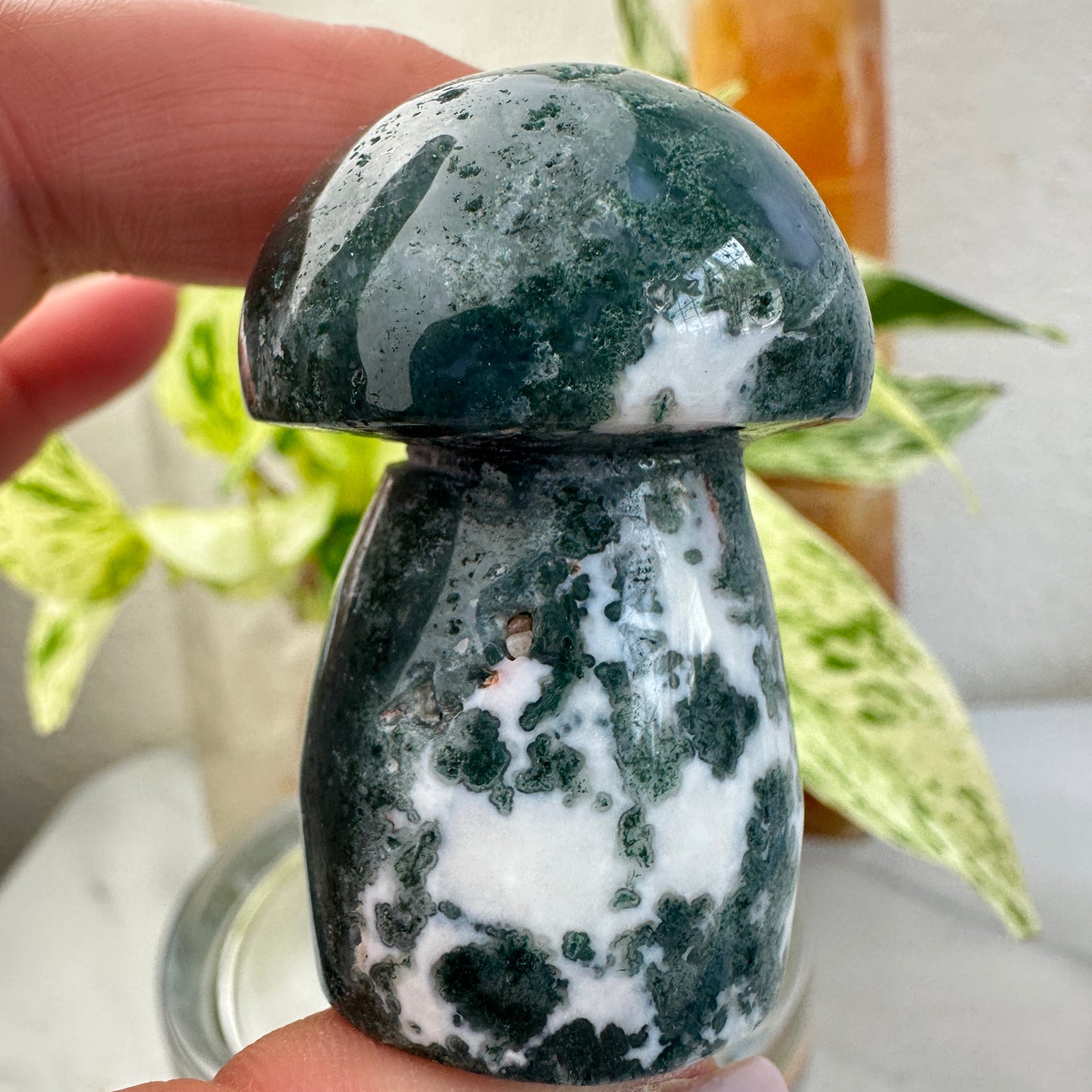 Moss Agate Mushrooms
Growth | Earth Energy | Emotional Balance