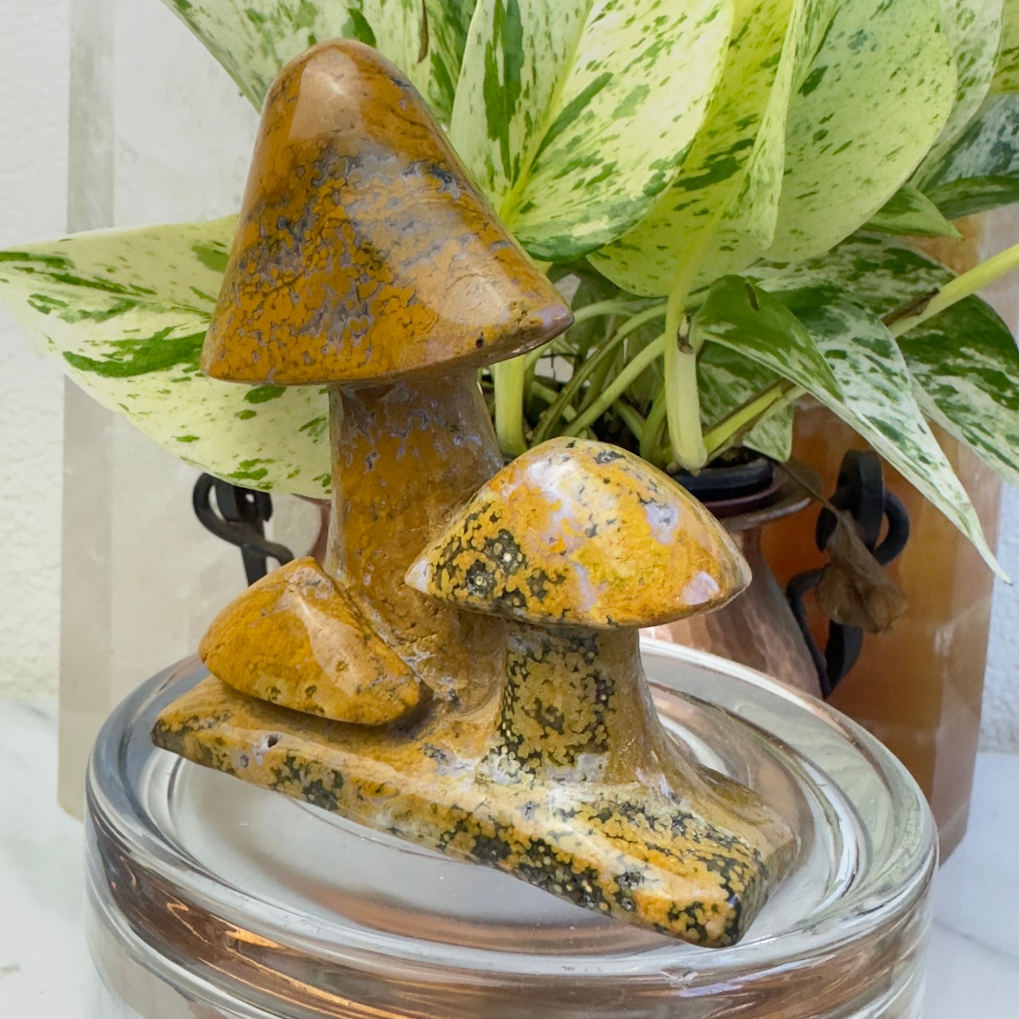 Spotted Jasper Mushrooms