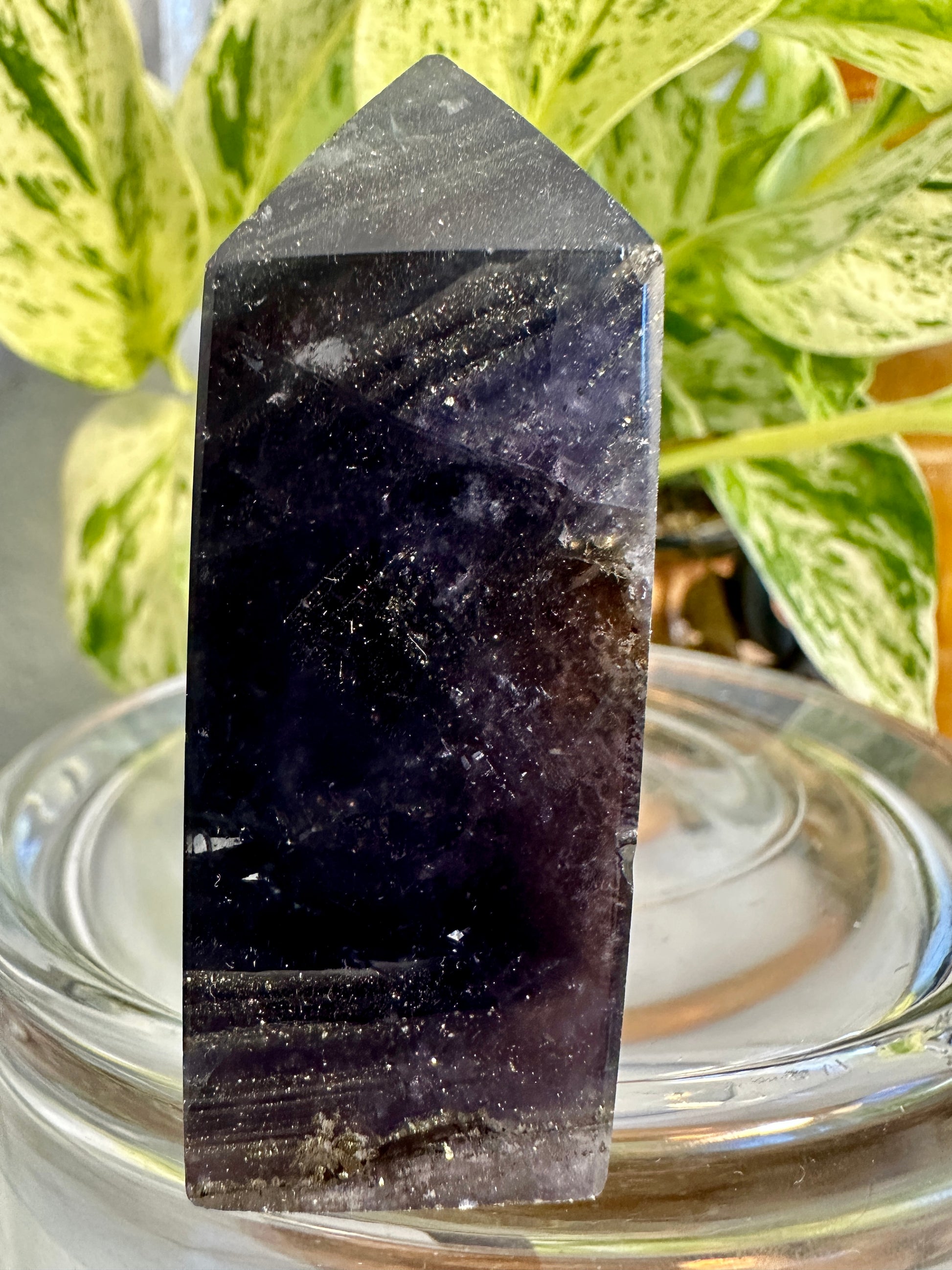 Pyrite in Fluorite Raw Edge Tower — E
2.5 in tall × 1.4 in wide × 0.9 in thick | 4.8 oz
Mental Clarity | Abundance | Grounded Confidence - Katie's Mystic Crystals