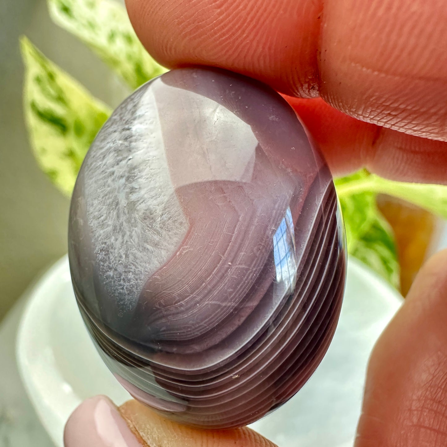 Large Botswana Agate Tumbles