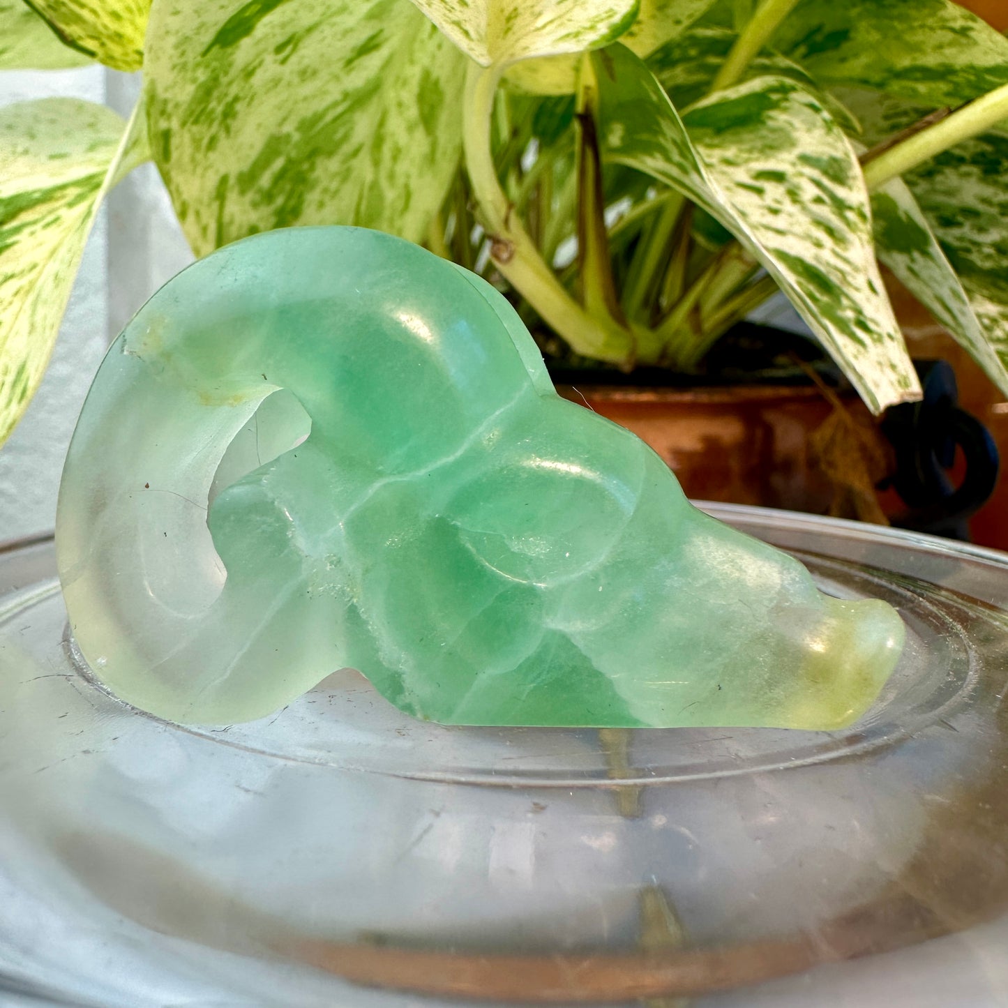 Crystal Ram Skulls — 2 inch
Zodiac Aligned | Power | Protection | Purpose