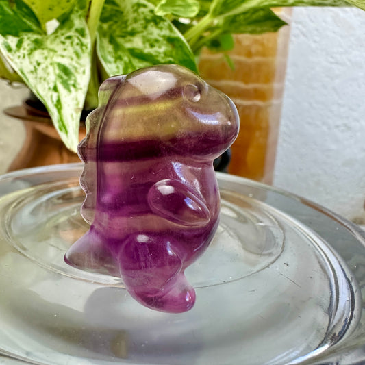 Fluorite Dino