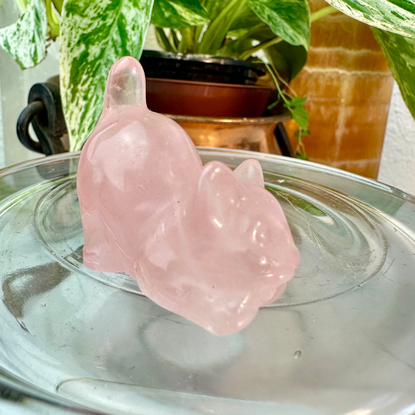Mini Crystal Cats — 0.25 to 2 inches Whimsy | Protection | Energy Companions