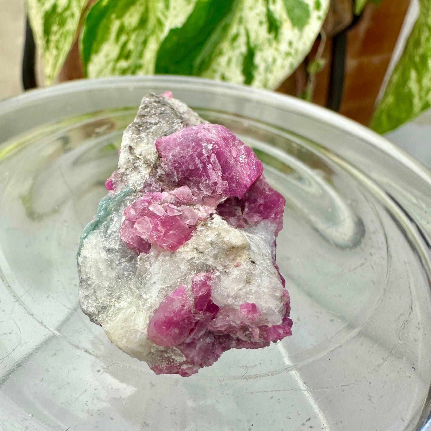 Ruby & Blue Kyanite Raw Specimen – Inner Strength + Intuition + Chakra Alignment (34g)
