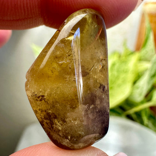 Natural Citrine Tumbles - Brazil