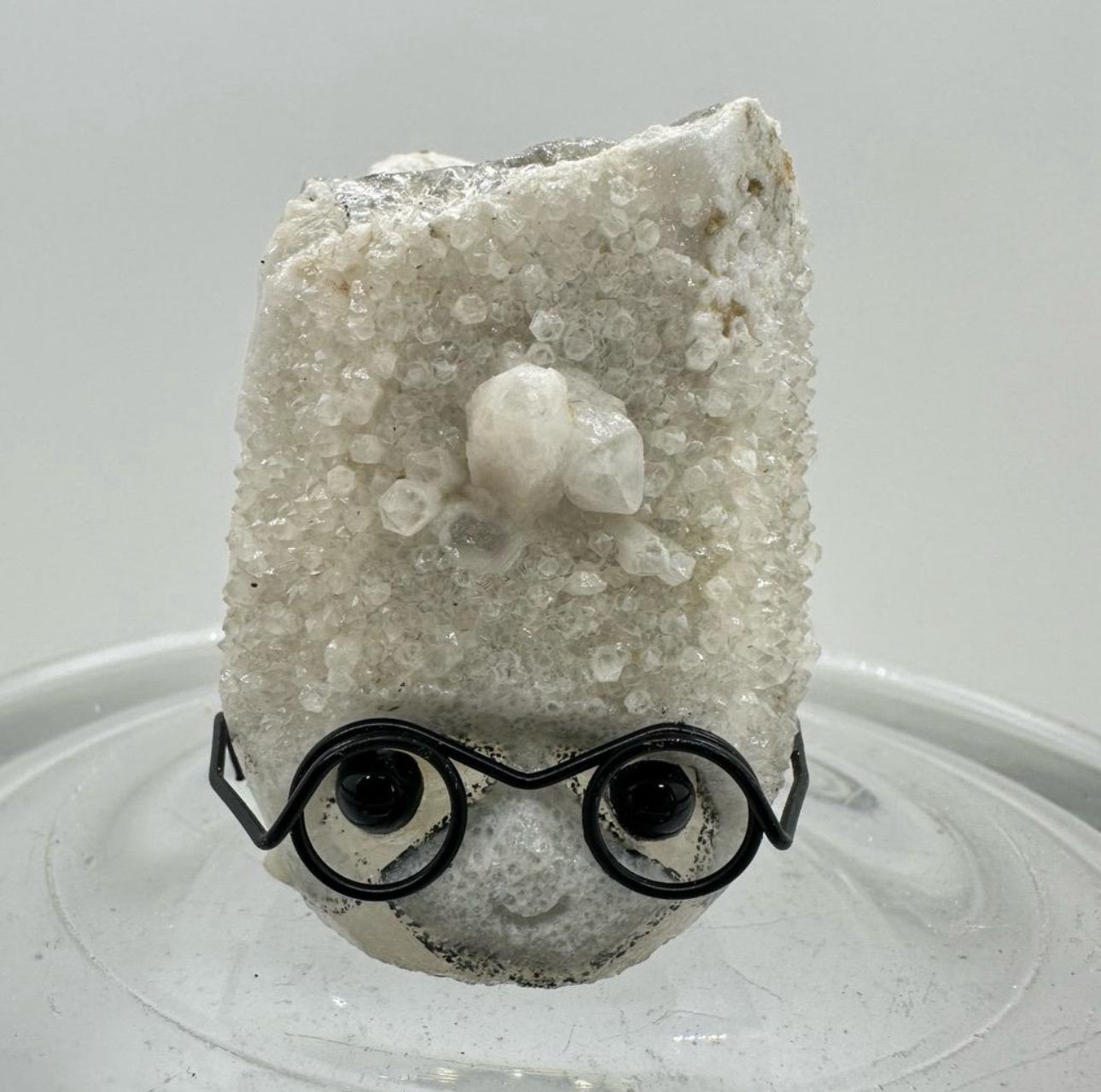 Crystal Critters - Harry