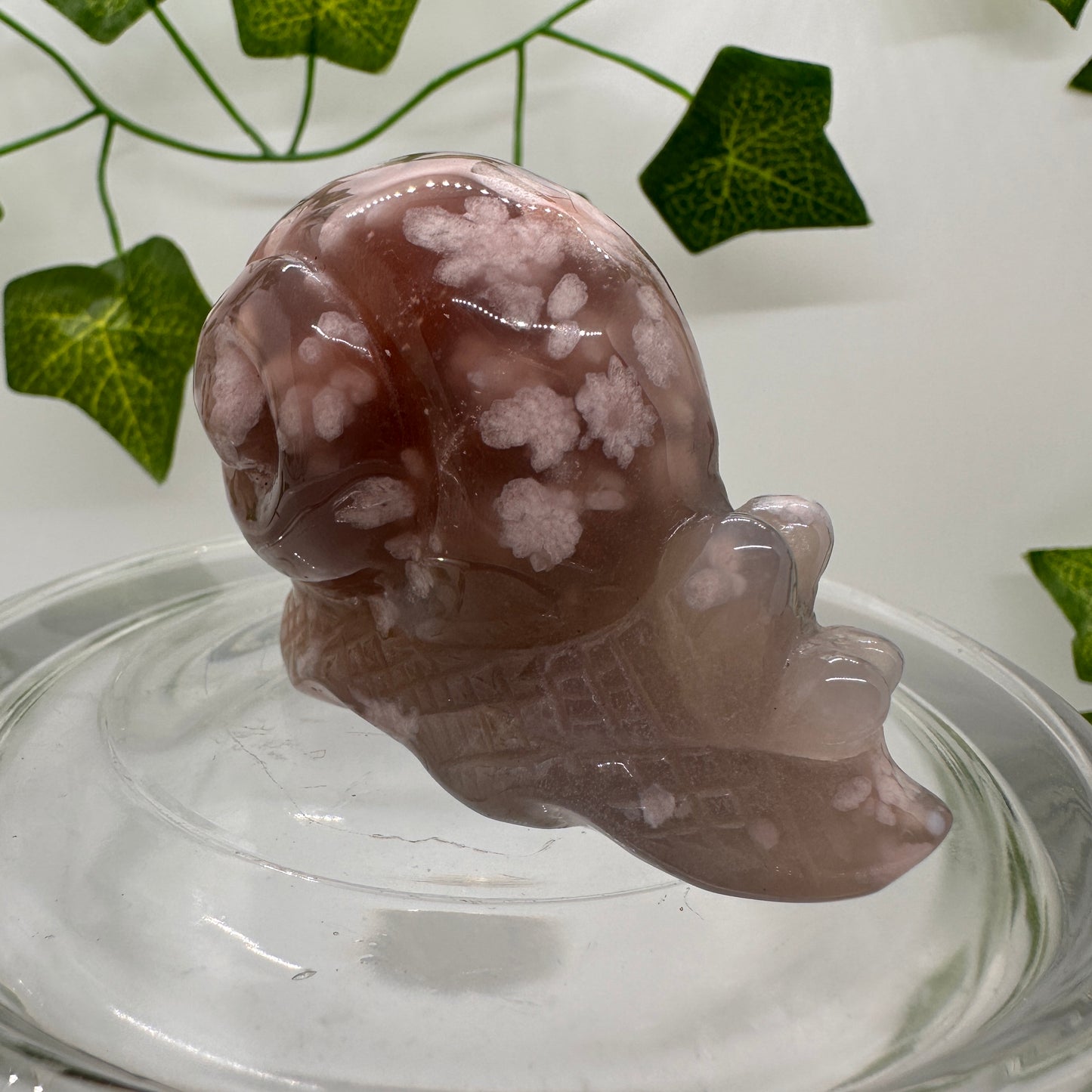 Flower Agate Snail (A) - Katie's Mystic Crystals