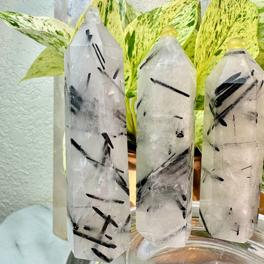Black Tourmaline in Quartz Points — 3 inch
Protection | Clarity | Energy Alignment