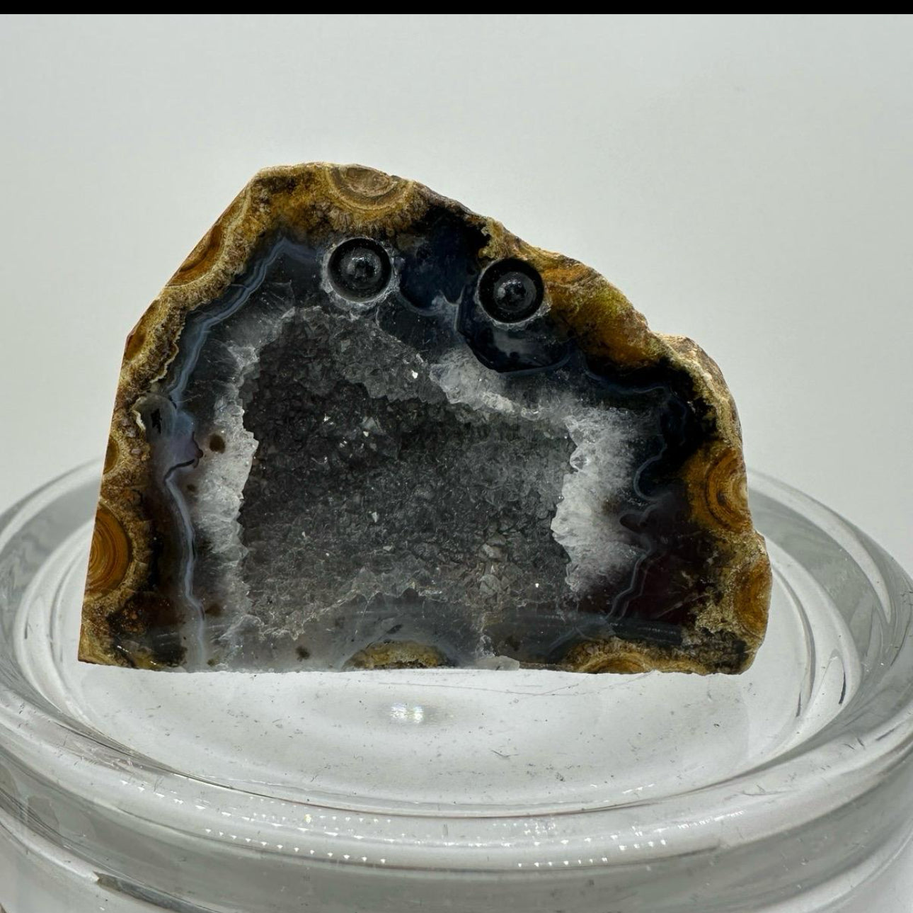 Crystal Critters- Geodes