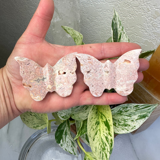 Crazy Lace Agate Butterfly